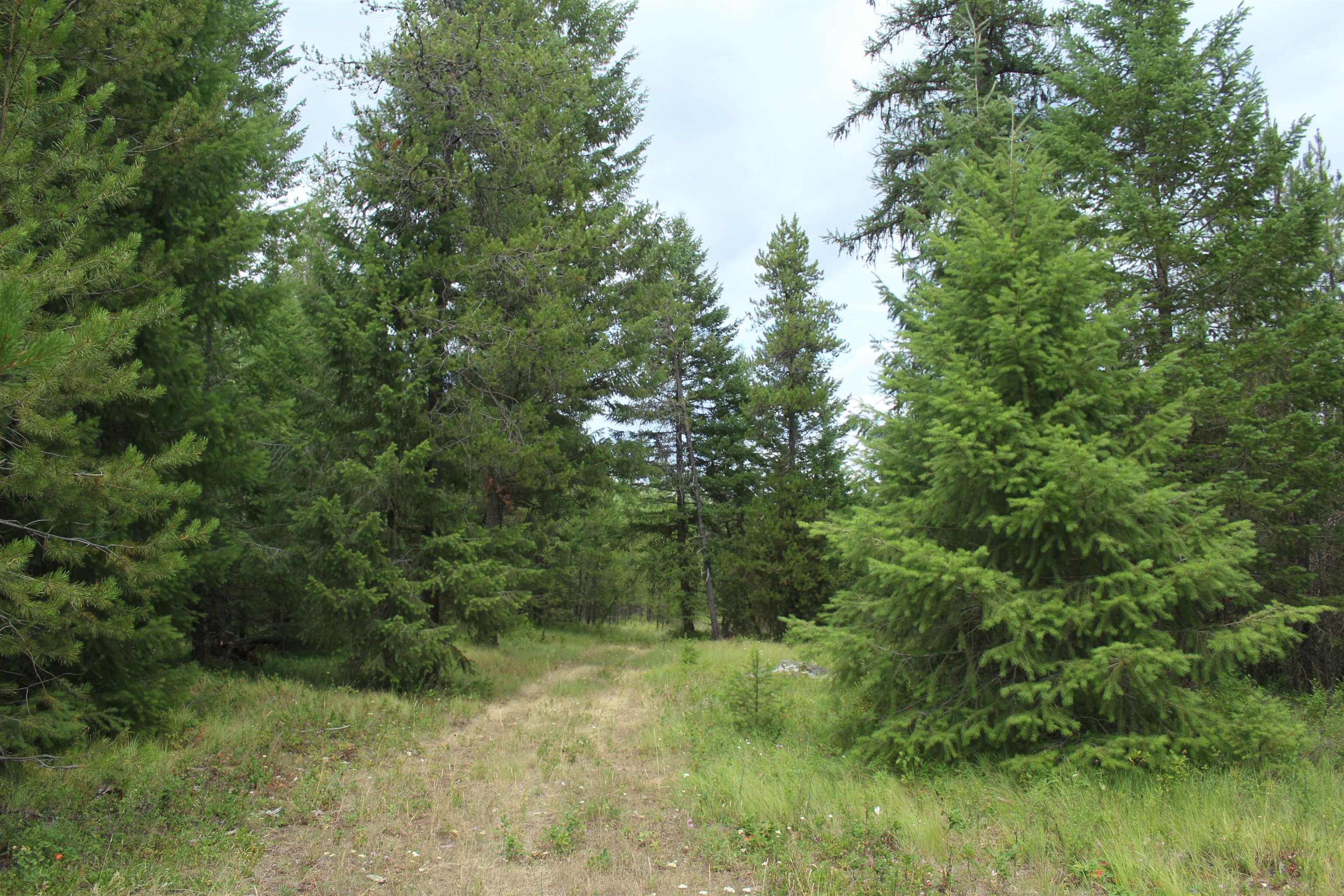 1-xx Tennant Road Newport, WA 99156 - Photo 7 of 13