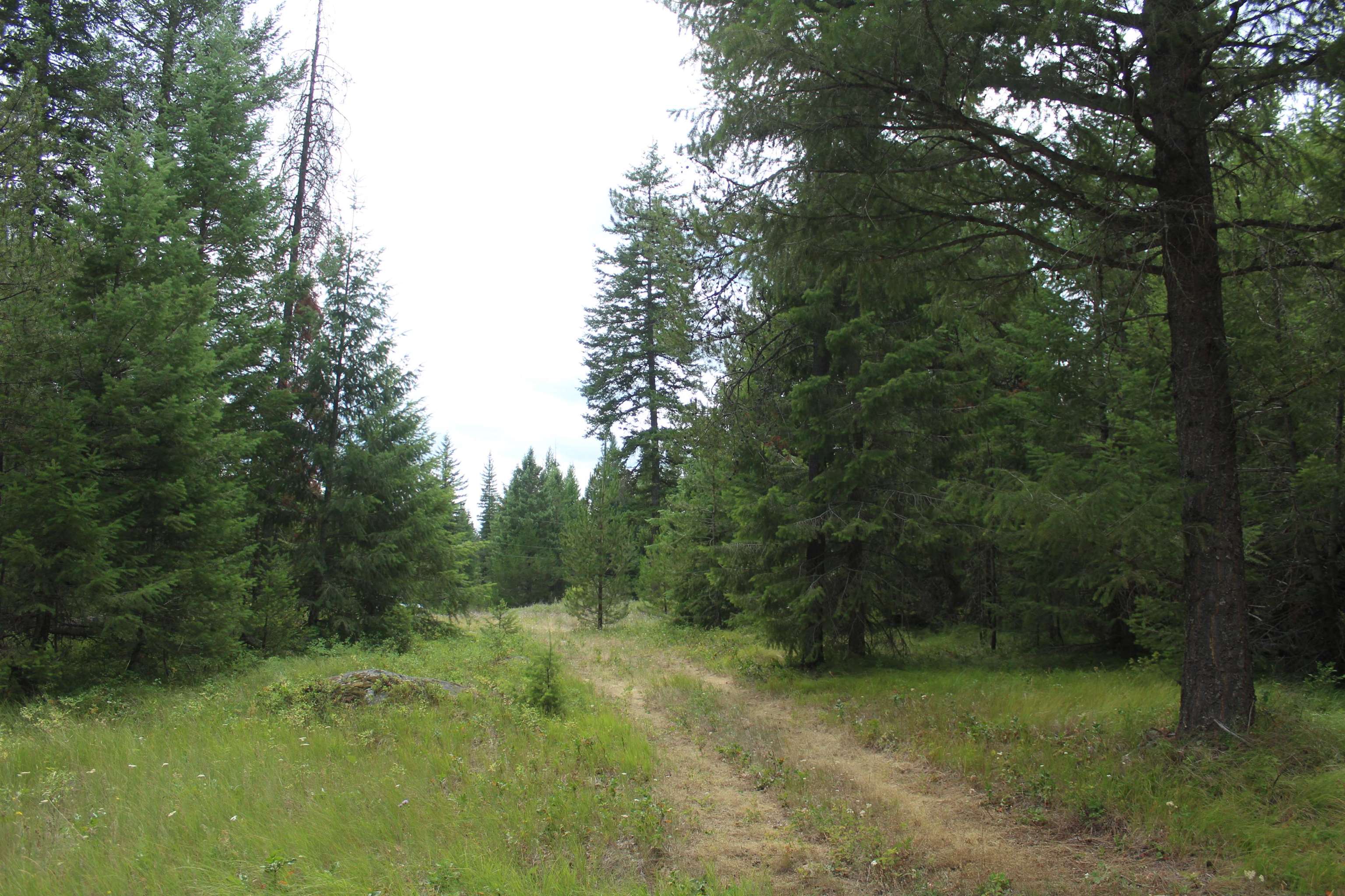 1-xx Tennant Road Newport, WA 99156 - Photo 10 of 13