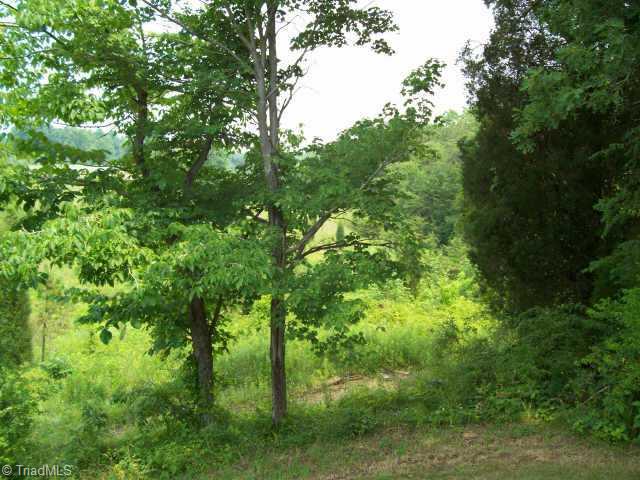 283 Plemmons Road Lewisville, NC 27023 - Photo 9 of 9 Other.