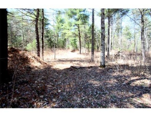 Lot 4 Ben Hale Road Gill, MA 01354 - Photo 1 of 4 Gallery Image 1