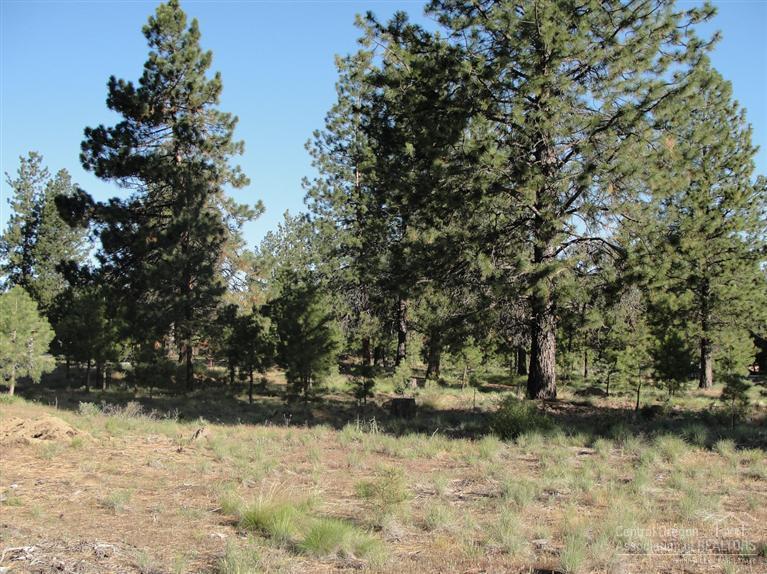60399 Cinder Butte Road Bend, OR 97702 - Photo 2 of 3 Additional Photo