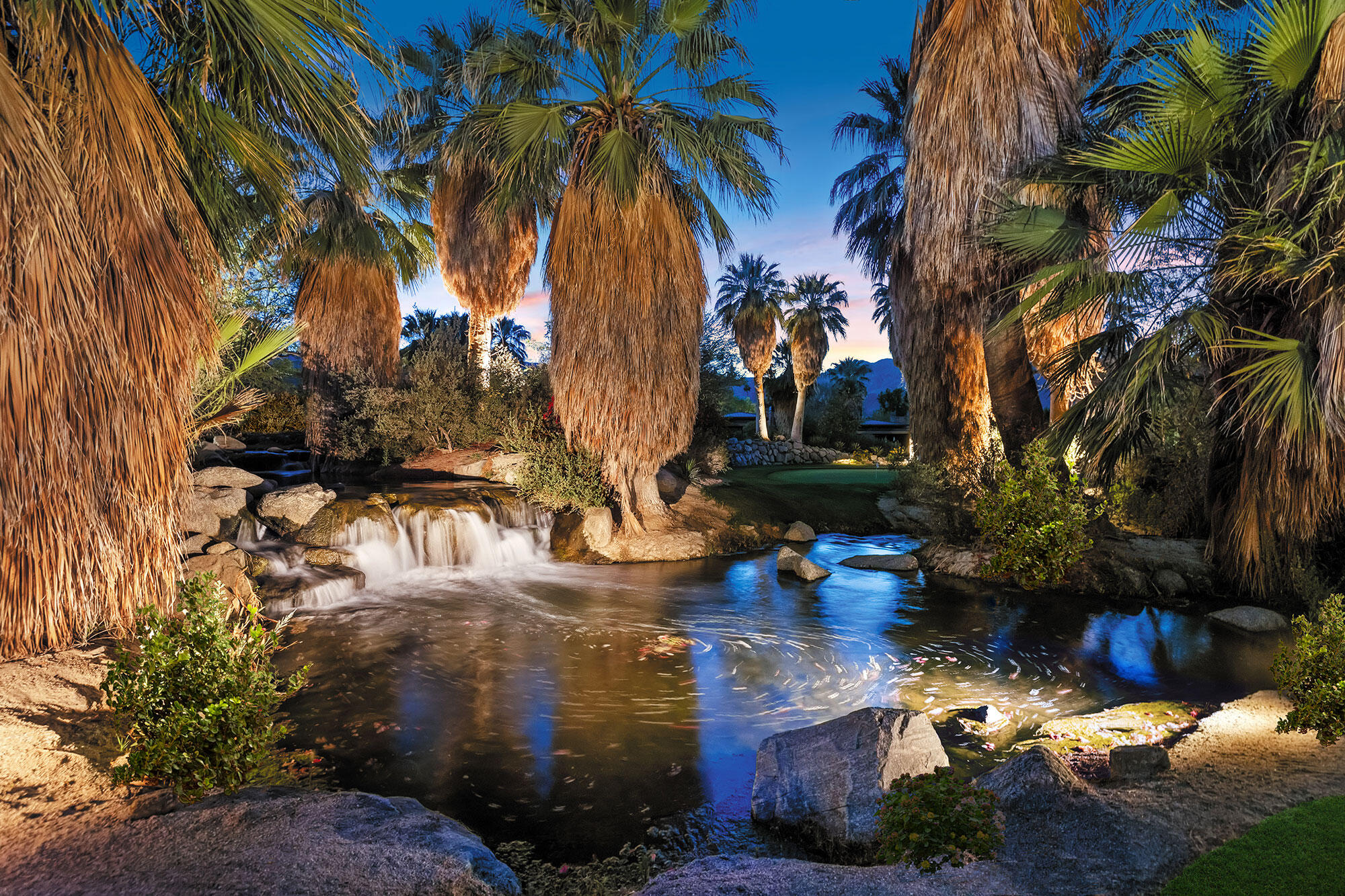 1134 Lake Vista Palm Desert, CA 92260 - Photo 14 of 14 a backyard of a house with lots of green space