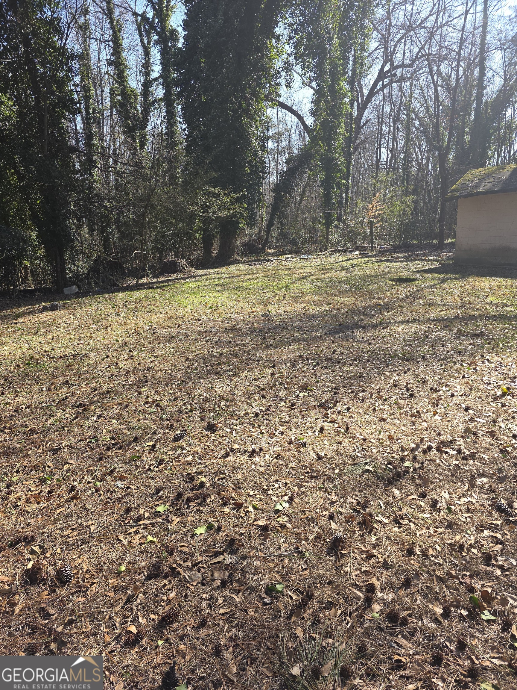 244 Dollar Mill Road Southwest Atlanta, GA 30331 - Photo 3 of 6