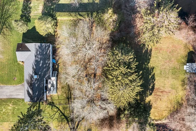 a backyard of a house with large trees and plants