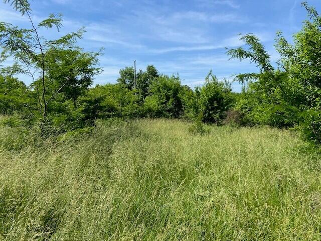 113 Lee's Creek Road Dover, KY 41034 - Photo 16 of 30 13