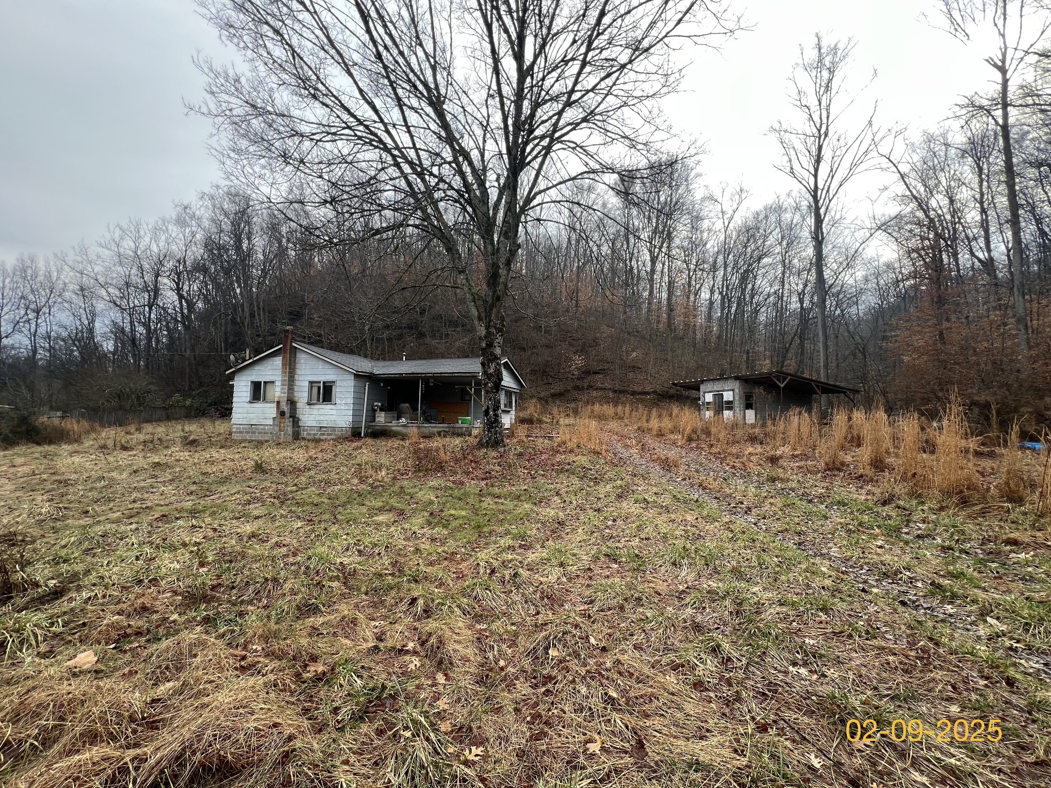 710 Mt Joy Road Mount Pleasant, TN 38474 - Photo 3 of 12 Gallery Image 3