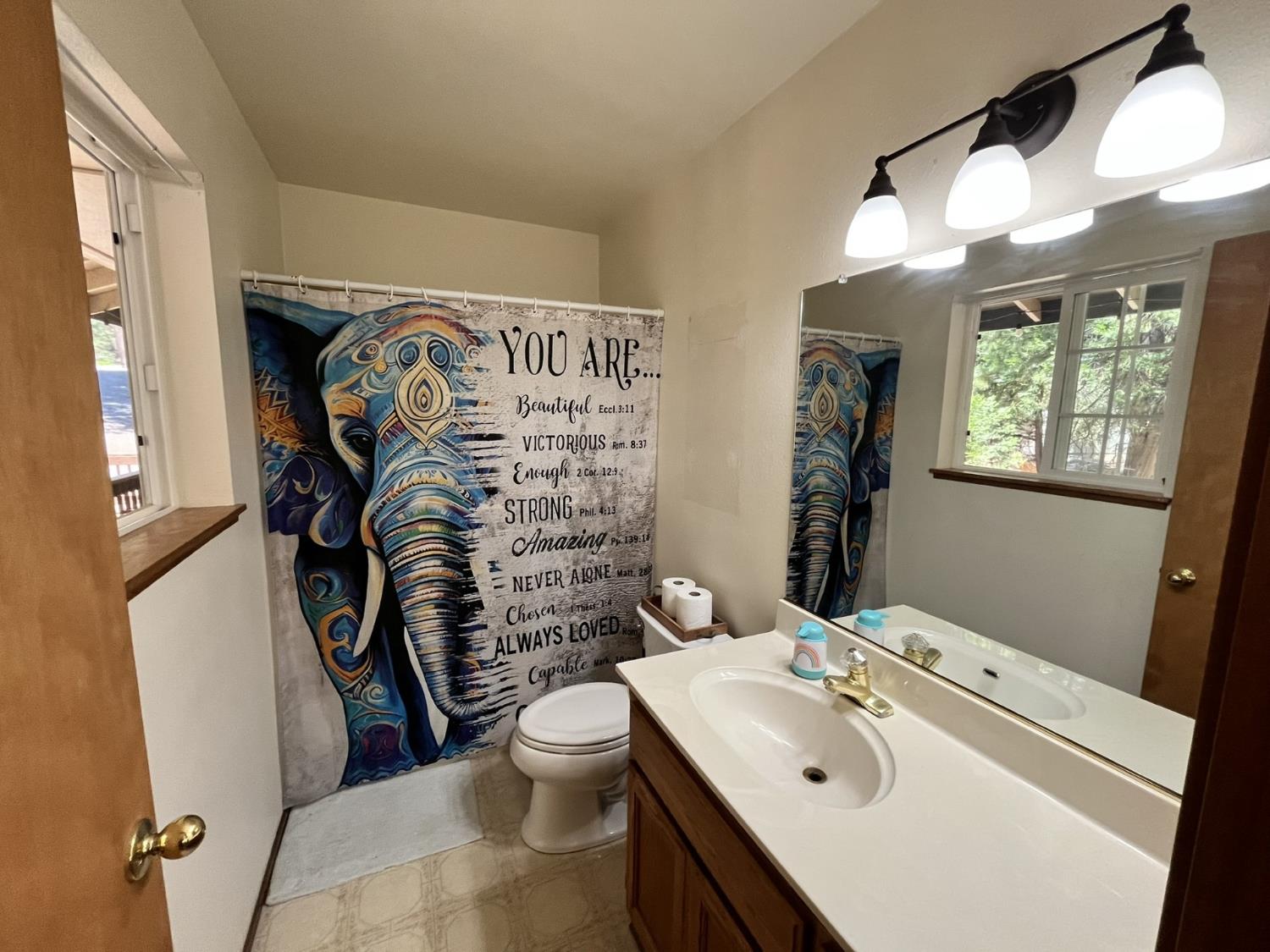 5635 Azalea Circle Pollock Pines, CA 95726 - Photo 8 of 24