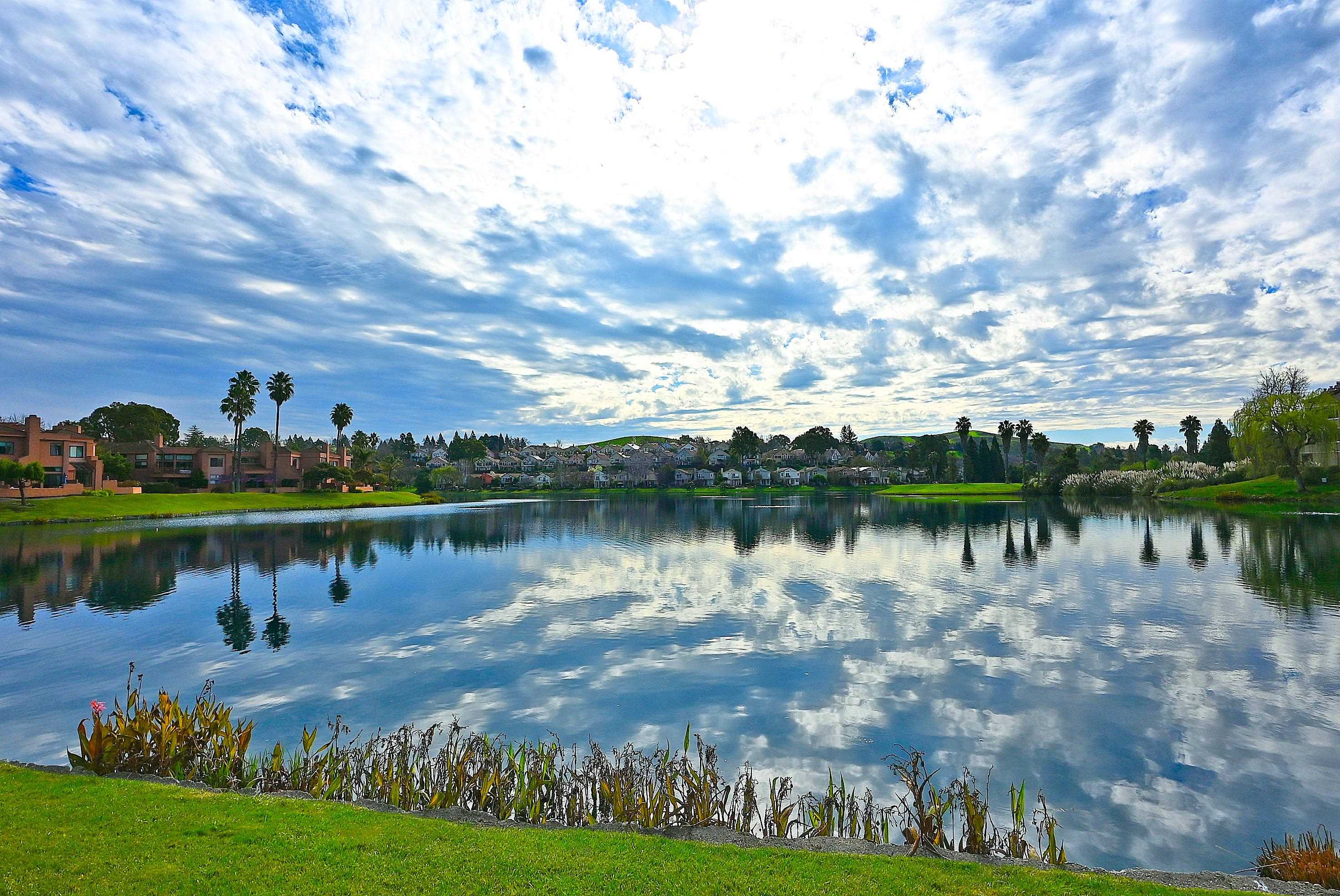 2057 Echo Place San Ramon, CA 94582 - Photo 8 of 55