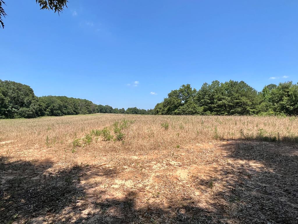 19-ac Ollie Pouncey Road Chancellor, AL 36316 - Photo 2 of 16