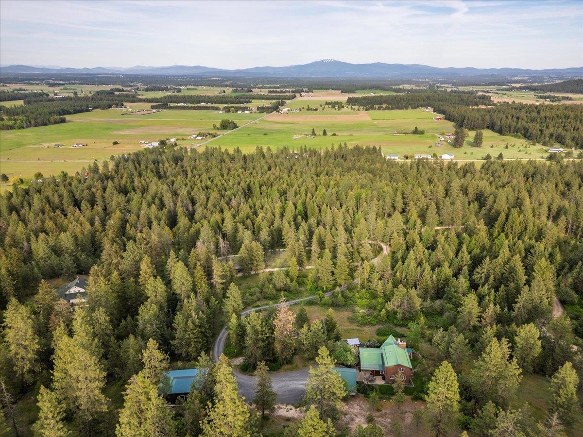 5241F Hattery-Owens Road Deer Park, WA 99006 - Photo 11 of 46