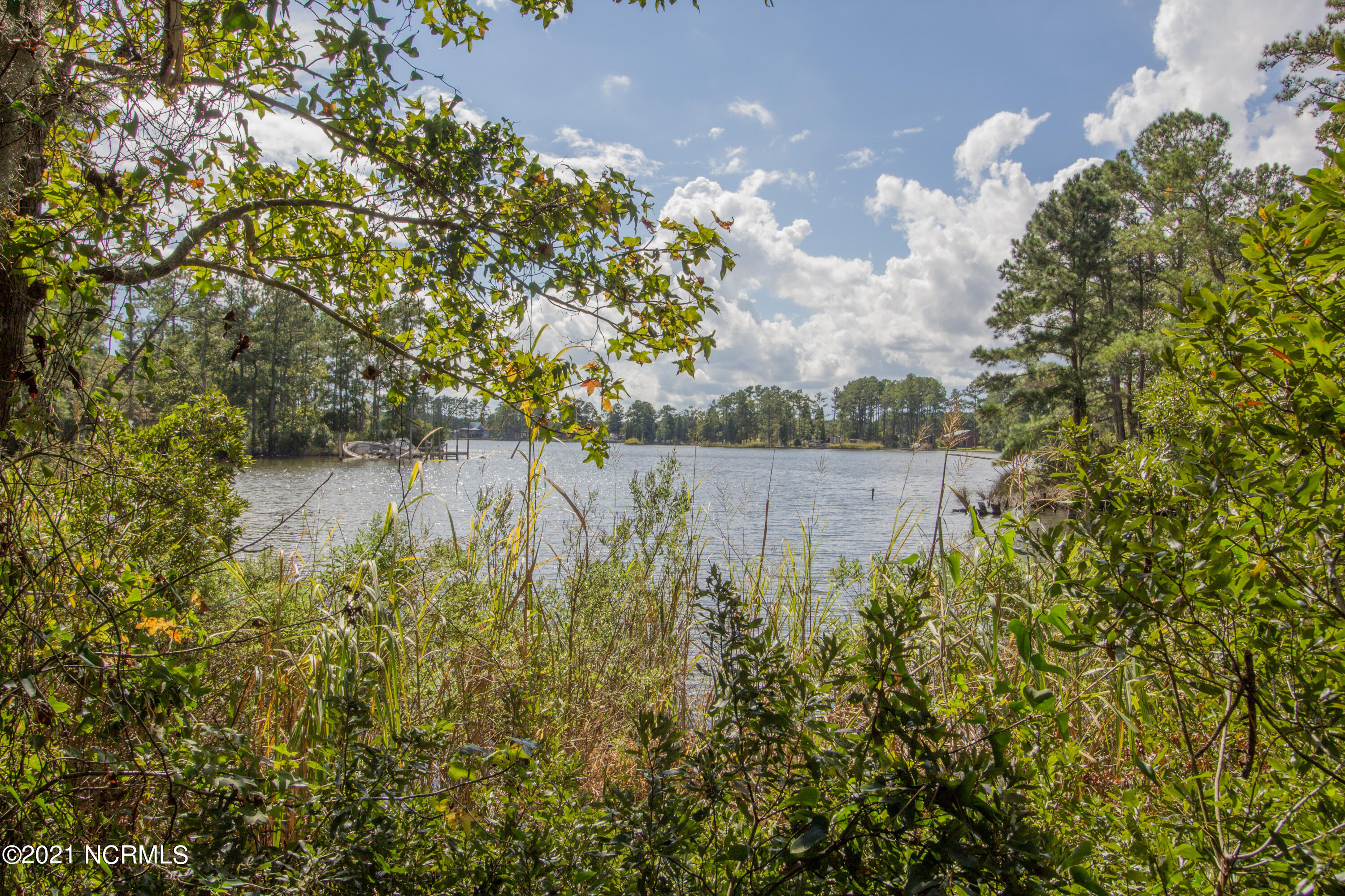 77 Wheat Patch Road Belhaven, NC 27810 - Photo 14 of 26 IMG_3546a