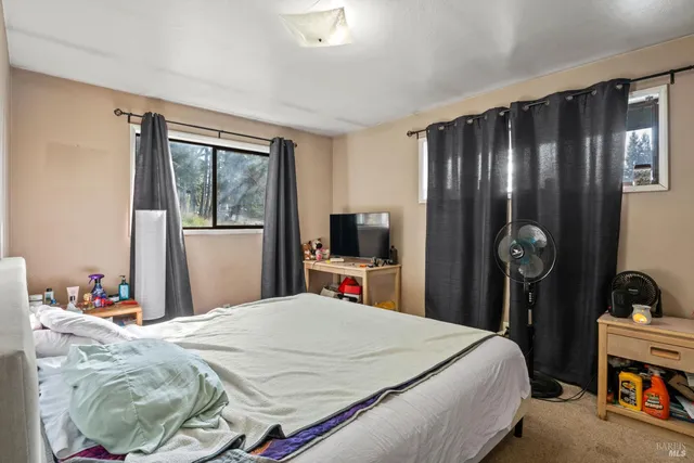 a bed room with a bed and a television