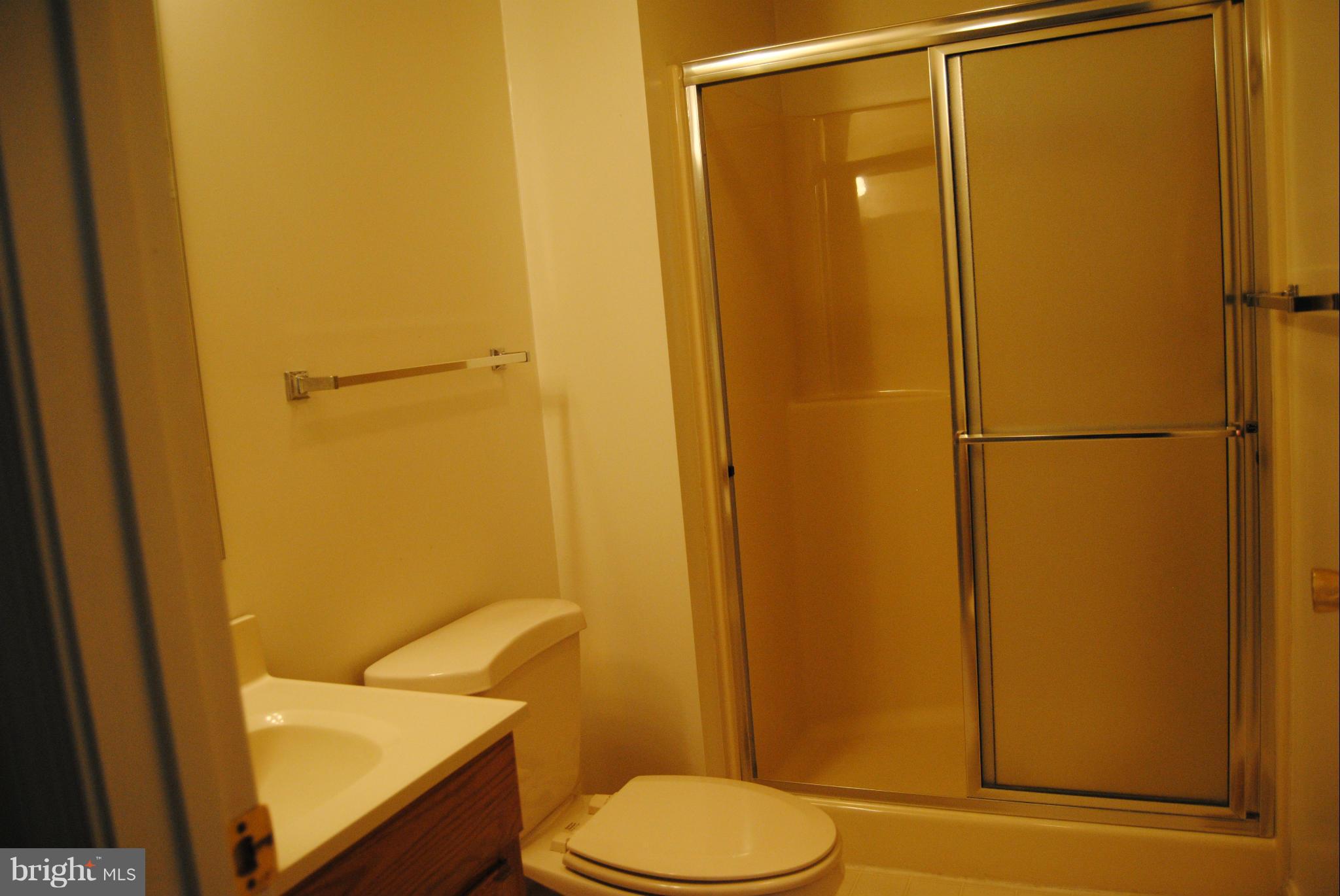 26875 Three Notch Road Mechanicsville, MD 20659 - Photo 19 of 29 Bath (Master)