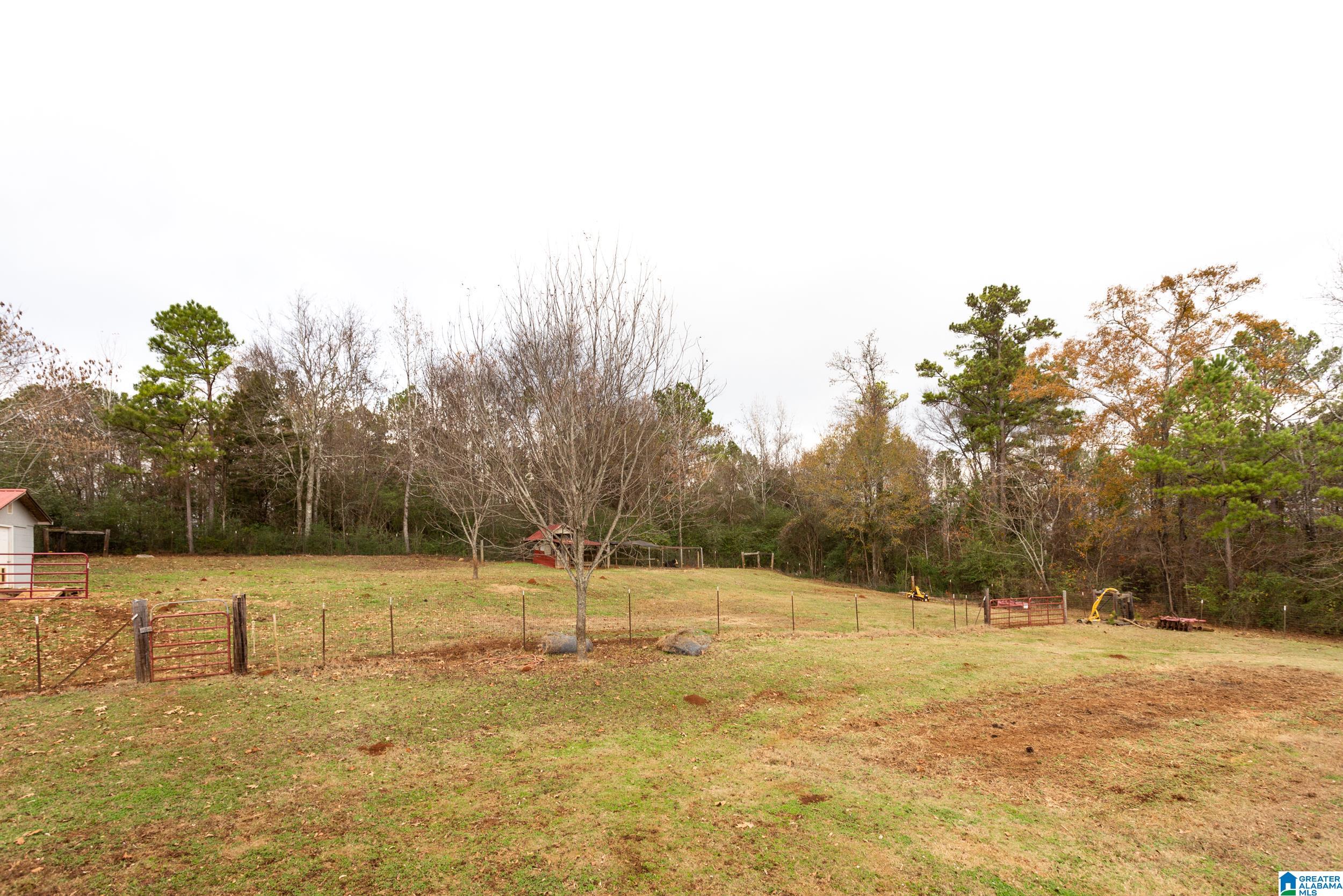 443 Lock 4 Road Riverside, AL 35135 - Photo 37 of 43