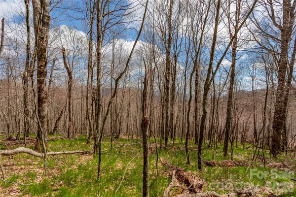 $79,000 | 4-5 & 7 Mule Trail Drive, Bakersville, NC 28705