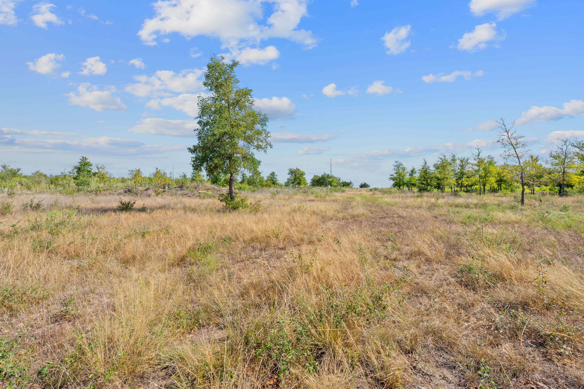 1087 Schubert Lane, Unit B Kyle, TX 78640 - Photo 18 of 19 View of local wilderness with rural landscape