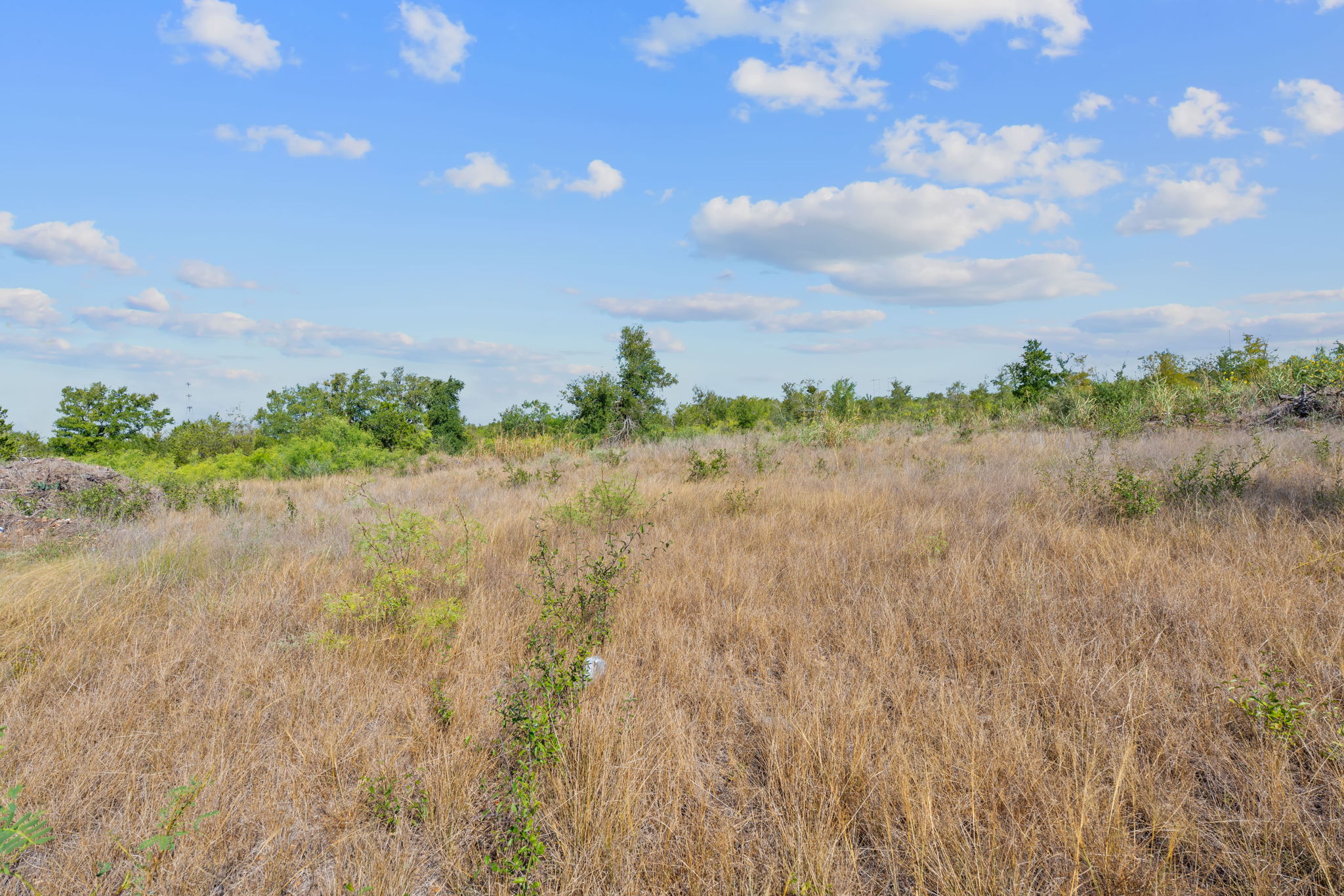 1087 Schubert Lane, Unit B Kyle, TX 78640 - Photo 19 of 19 View of nature with rural landscape