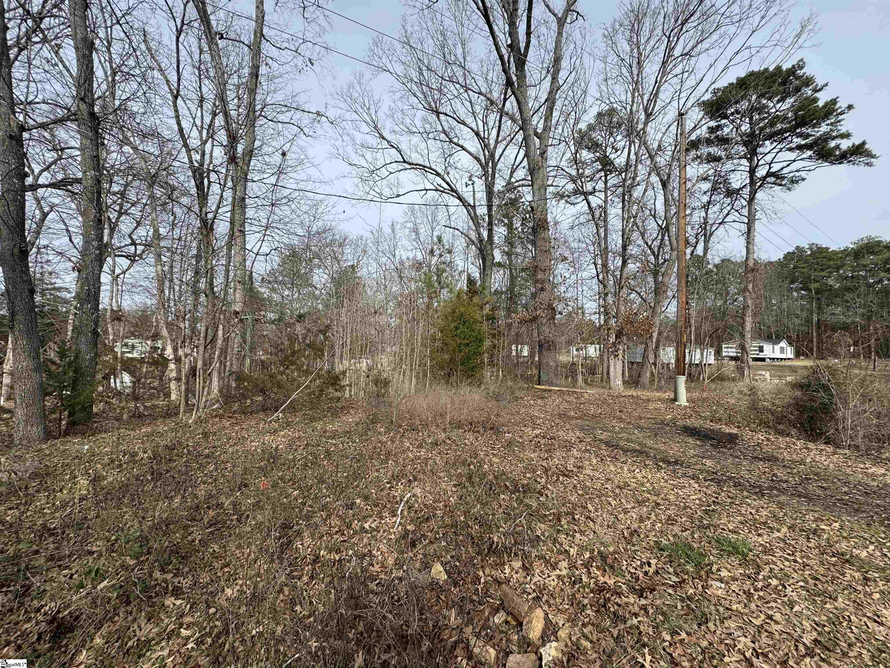 148 Douglas Drive Waterloo, SC 29384 - Photo 4 of 7