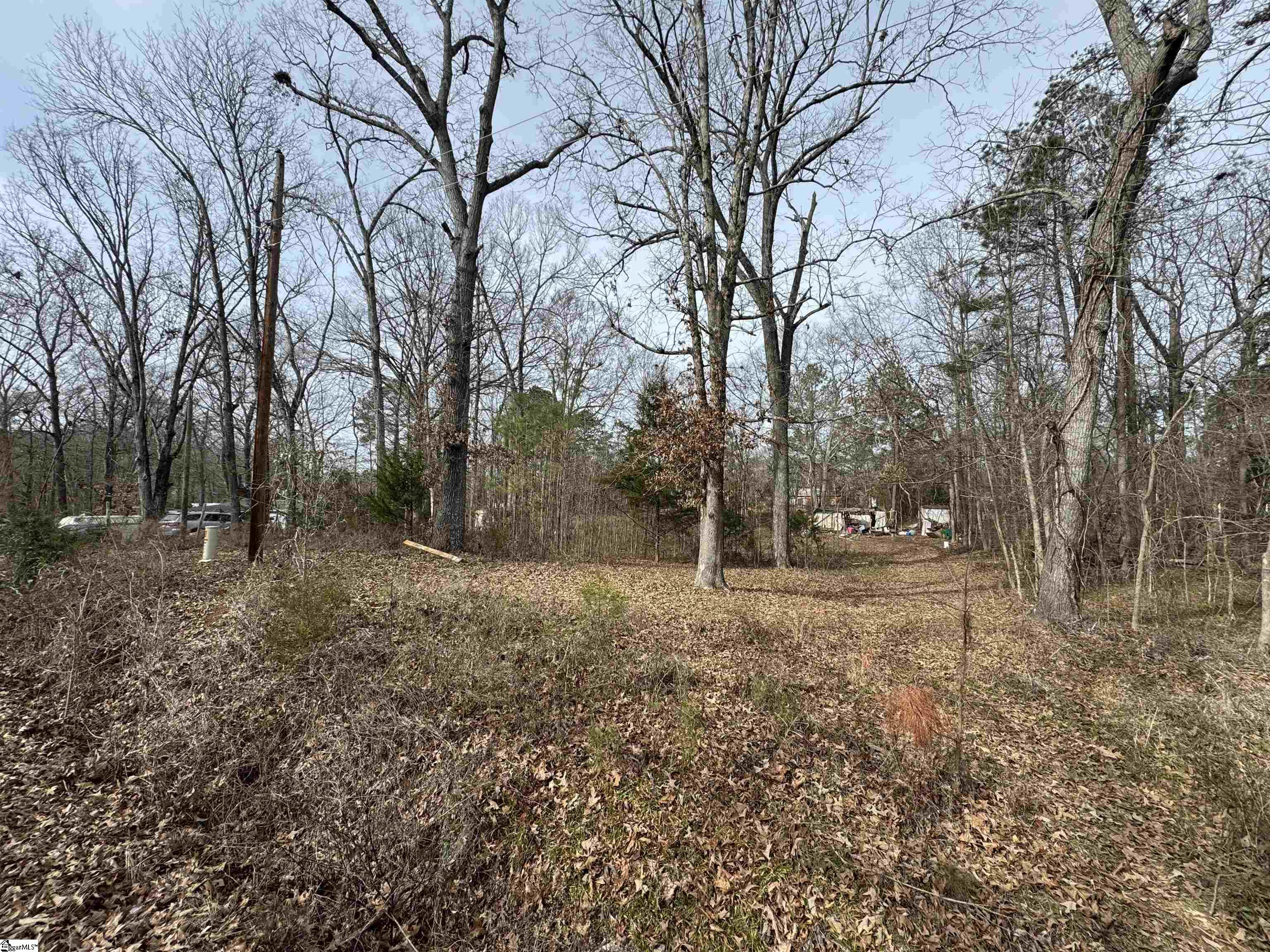 148 Douglas Drive Waterloo, SC 29384 - Photo 5 of 7