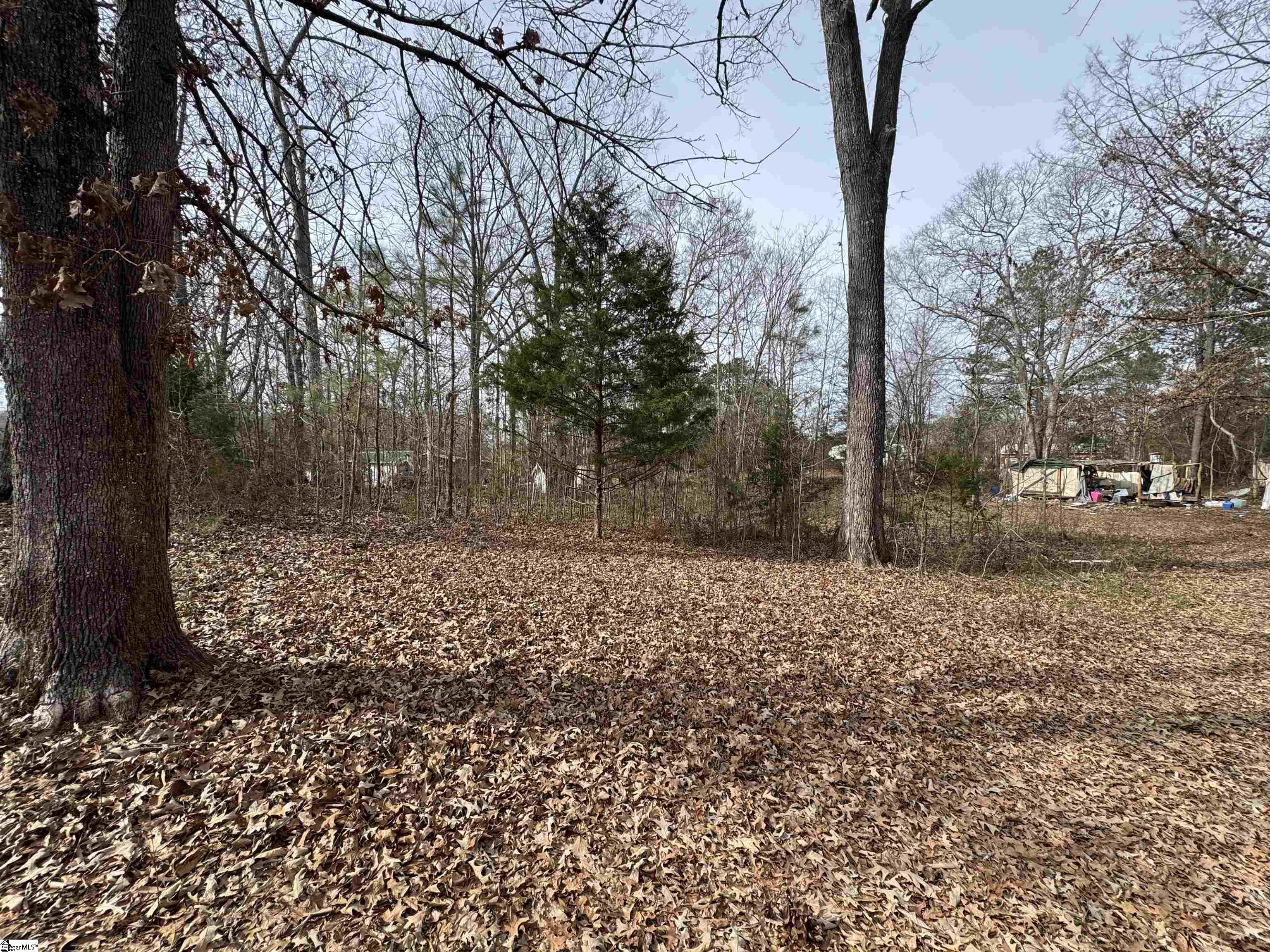 148 Douglas Drive Waterloo, SC 29384 - Photo 6 of 7