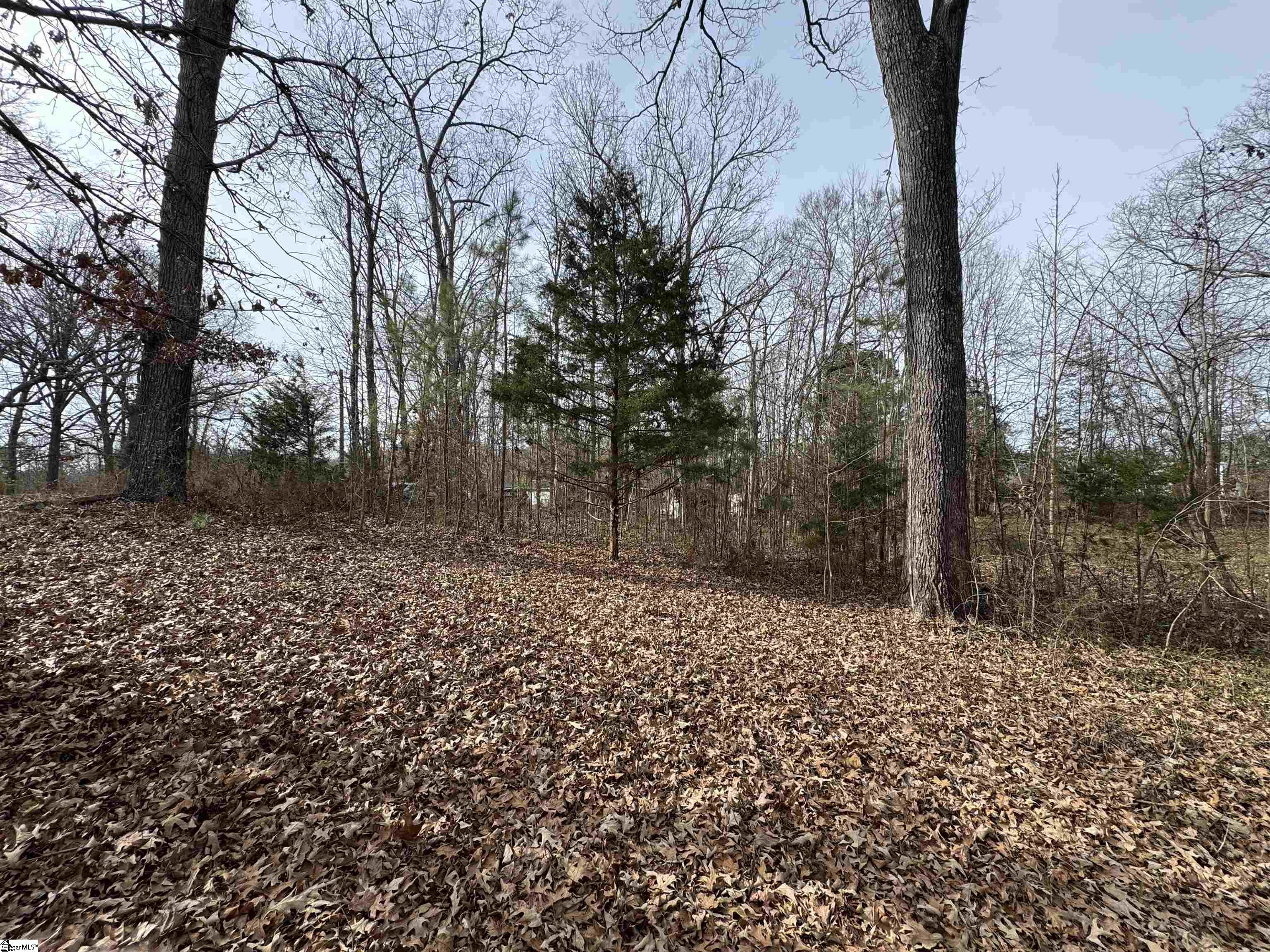 148 Douglas Drive Waterloo, SC 29384 - Photo 7 of 7