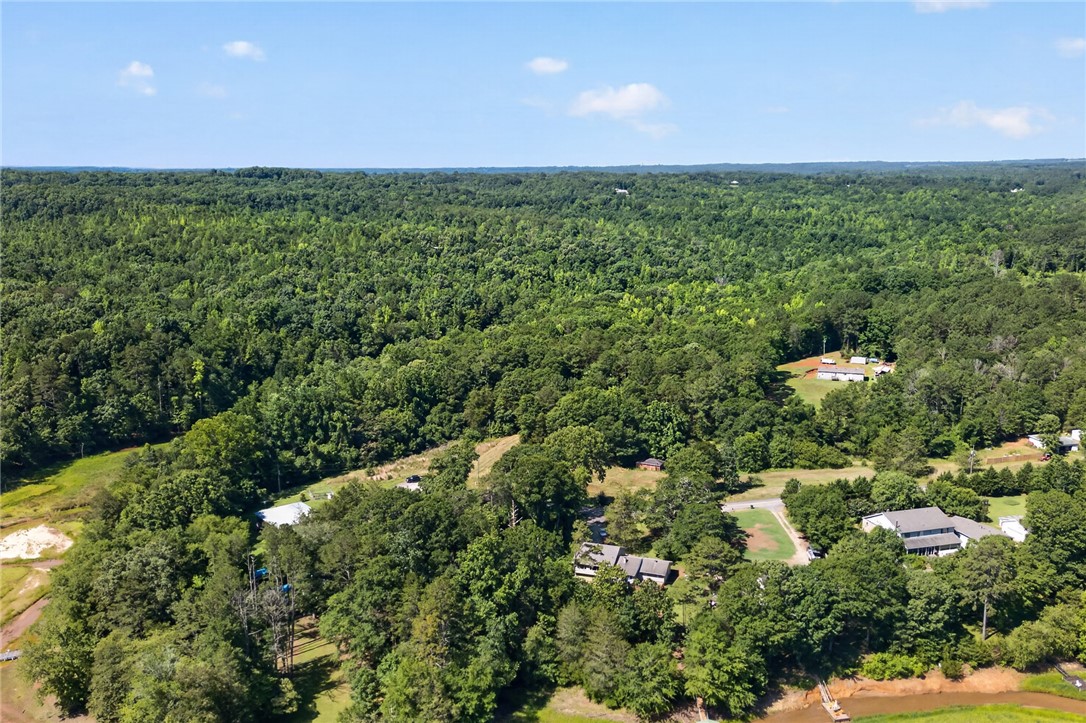 0 Seneca Springs Landing Road Seneca, SC 29678 - Photo 36 of 39 Vast forested acreage with serene waterfront access provides an idyllic setting for peaceful living.