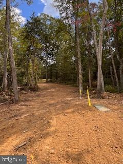 6735 Beverly Road Broad Run, VA 20137 - Photo 19 of 31 a view of a yard with trees