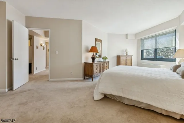 a spacious bedroom with a bed and a cabinets