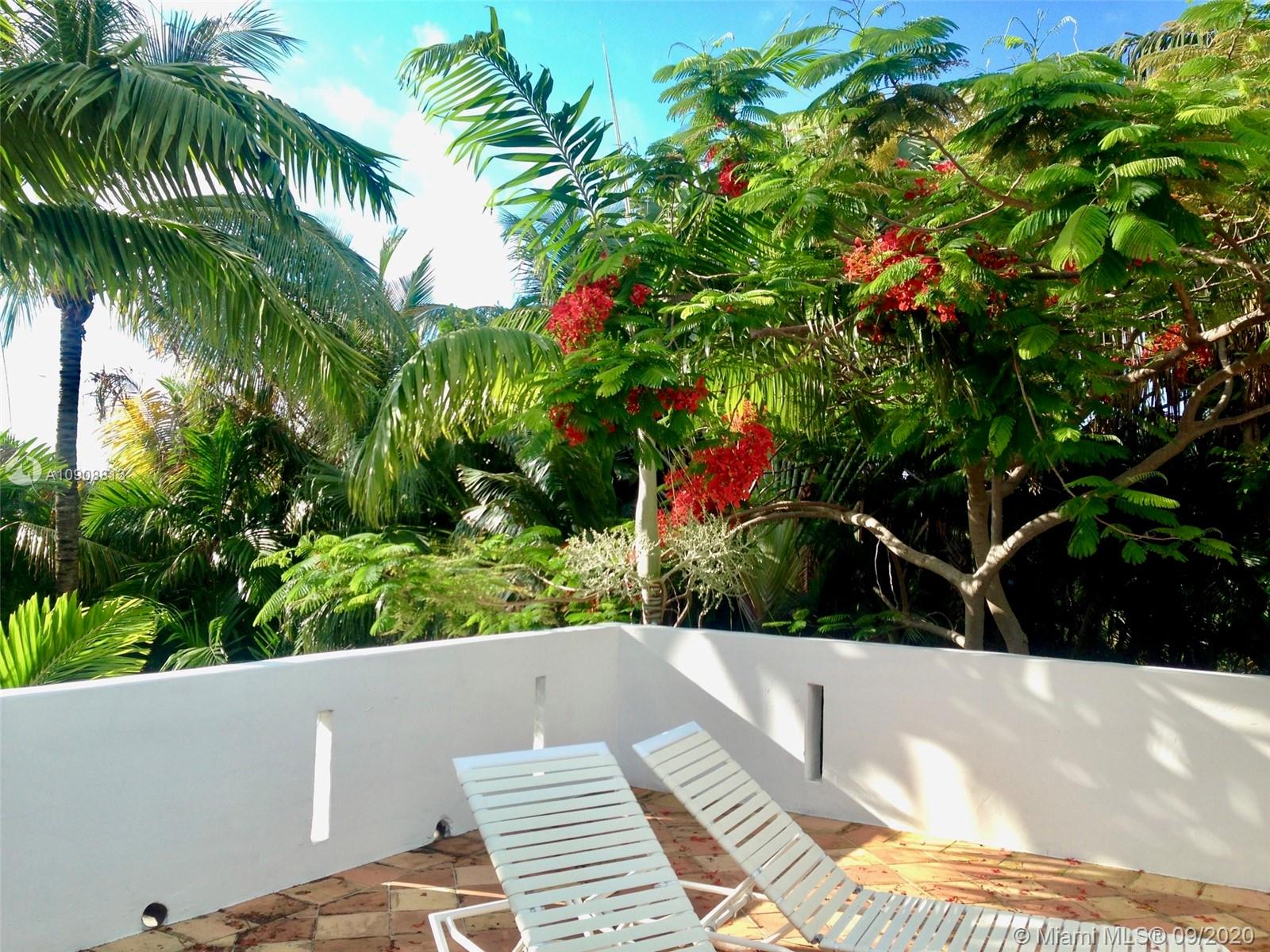 385 Ridgewood Road Key Biscayne, FL 33149 - Photo 25 of 54 a view of a yard and flowers