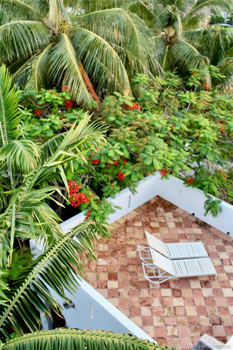 385 Ridgewood Road Key Biscayne, FL 33149 - Photo 4 of 54 a view of a garden with plants