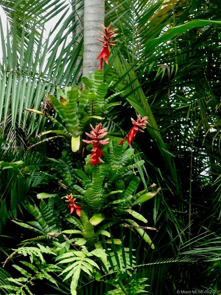 385 Ridgewood Road Key Biscayne, FL 33149 - Photo 8 of 54