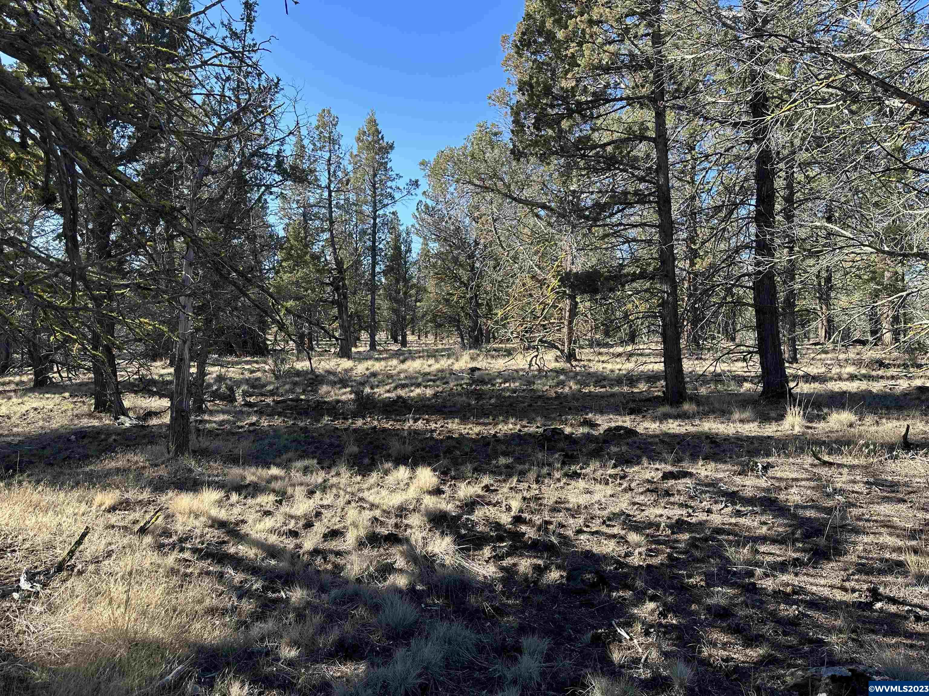 1300 Fishhole Creek Road Bly, OR 97622 - Photo 11 of 25