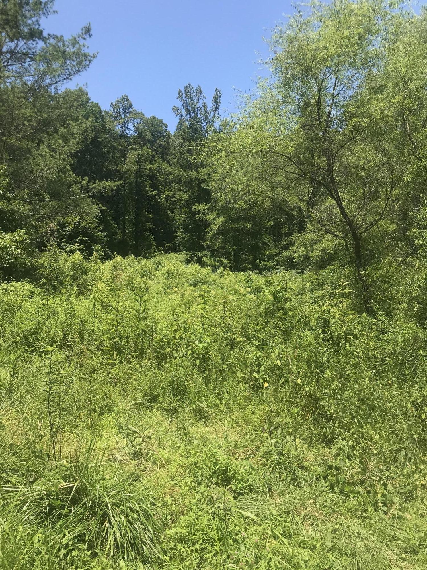 11 Lone Mountain Road Andersonville, TN 37705 - Photo 1 of 10 Gallery Image 1