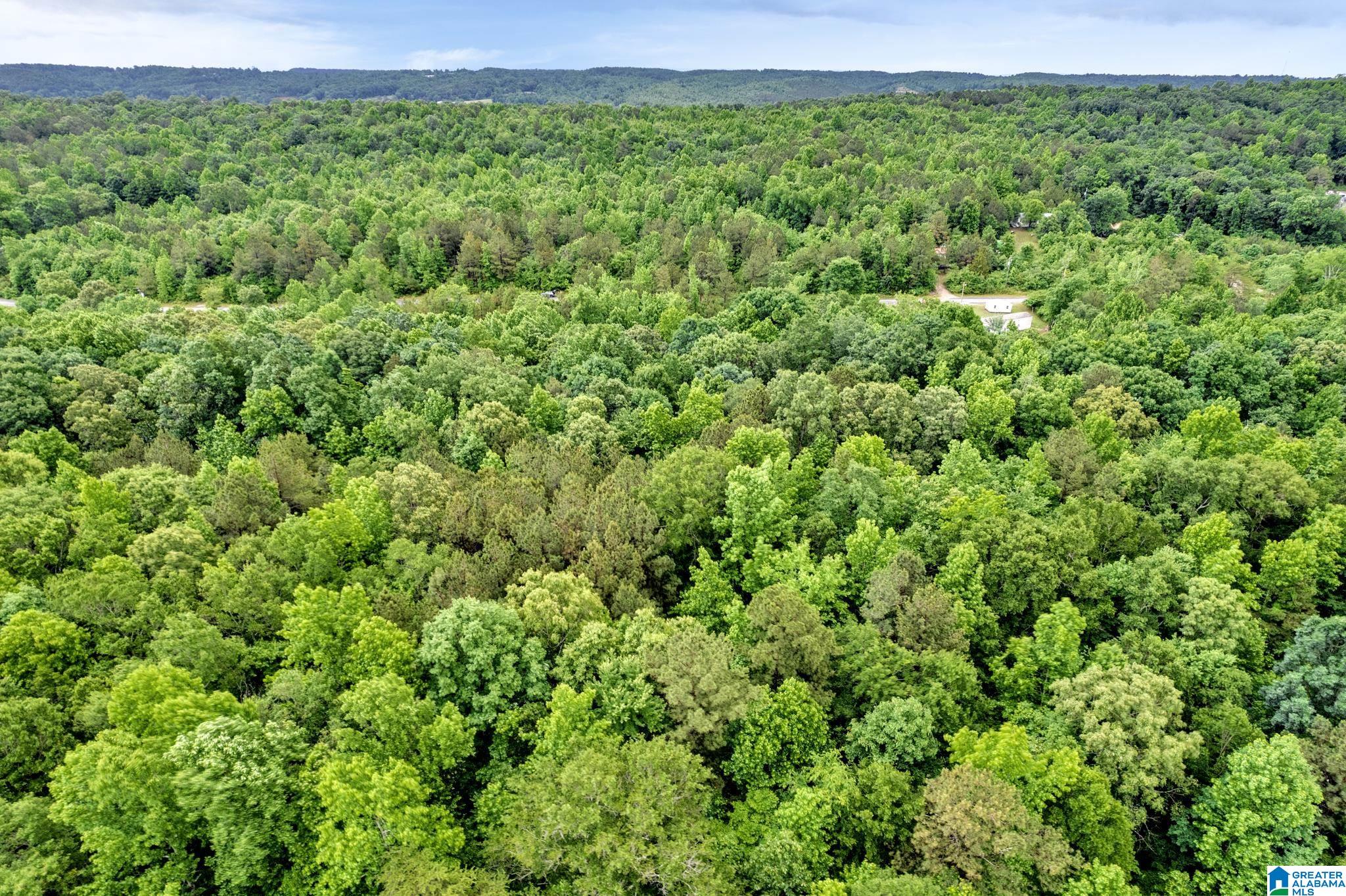 530 Mt Road Blountsville, AL 35031 - Photo 15 of 18