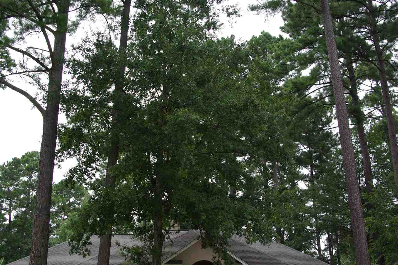 605 Wendover Way Ridgeland, MS 39157 - Photo 50 of 50 Photo 50