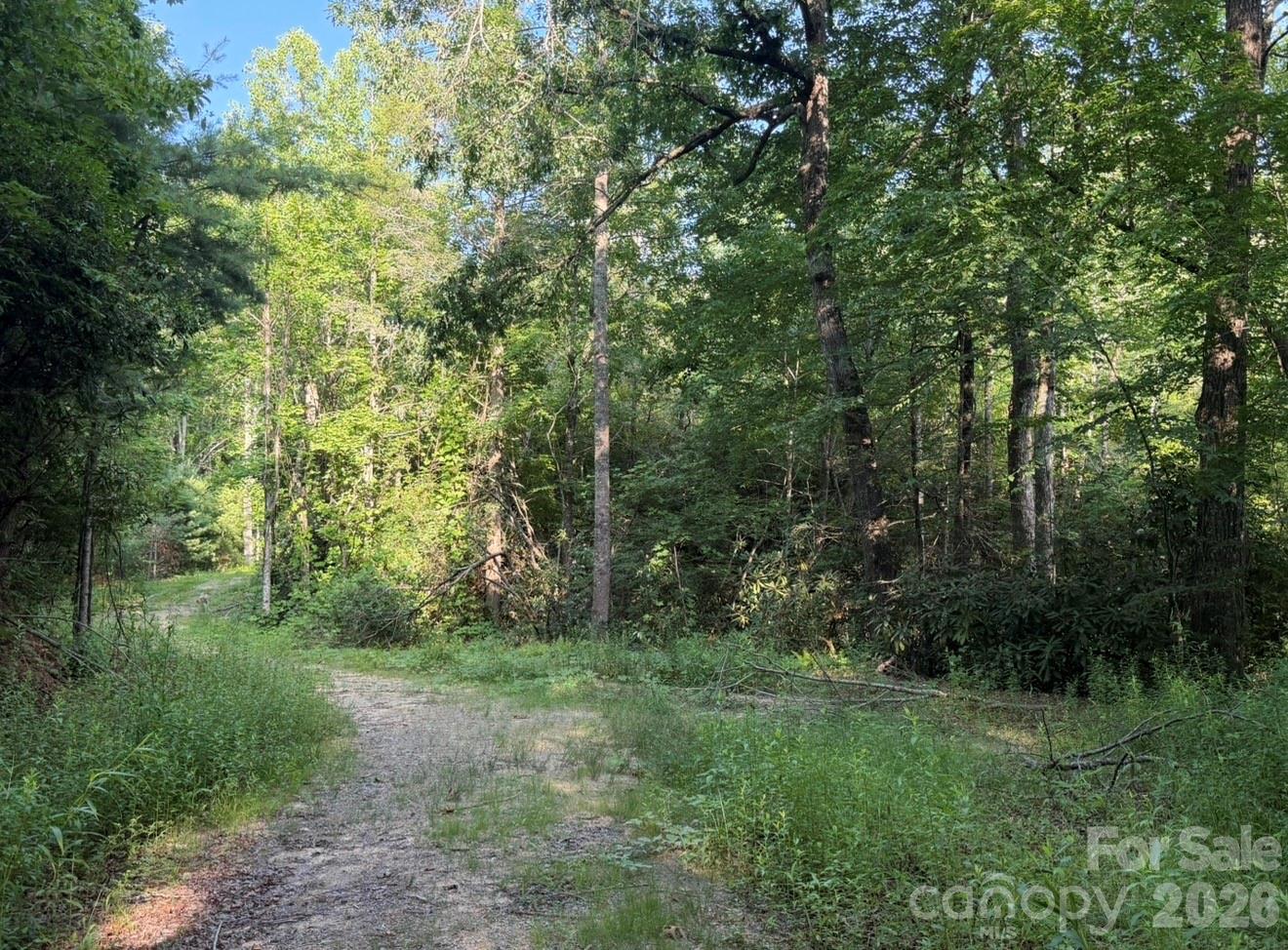 Off Old Toxaway Road Brevard, NC 28712 - Photo 19 of 32 Gallery Image 19