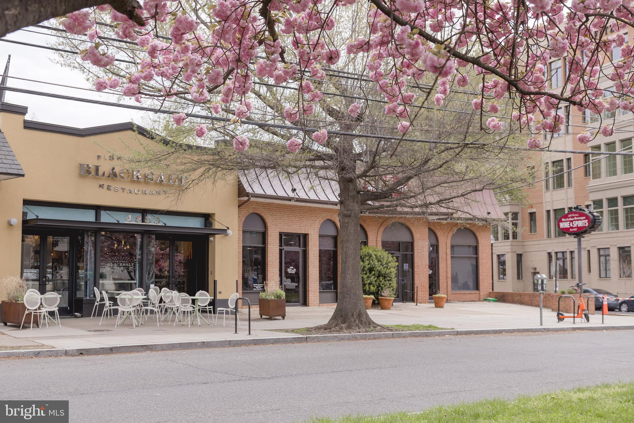 5212 MacArthur Boulevard Northwest Washington, DC 20016 - Photo 55 of 59