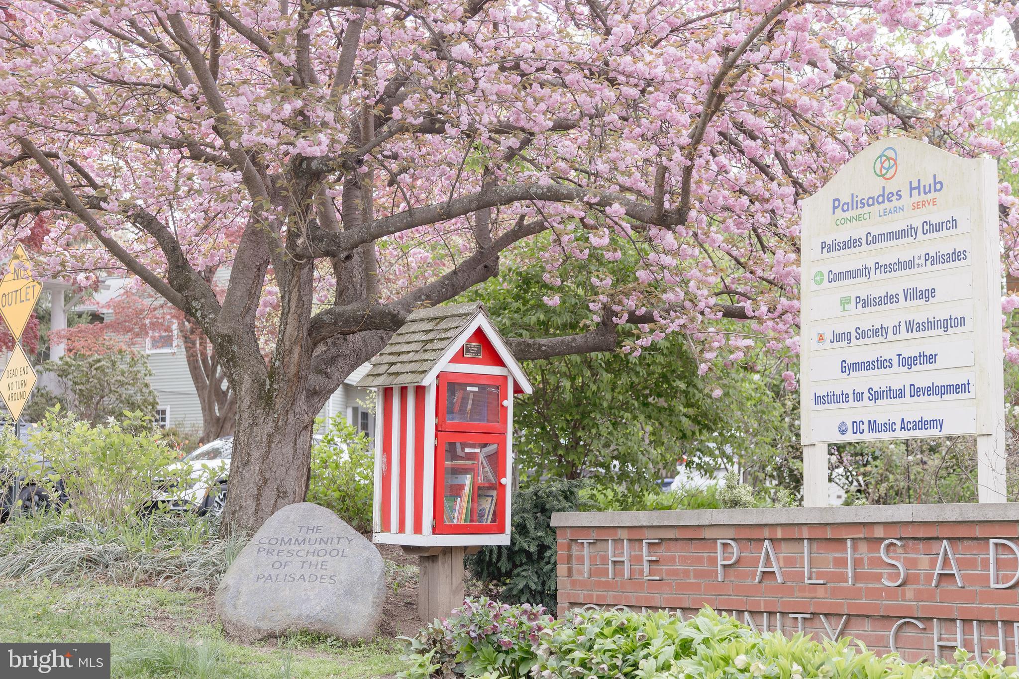 5212 MacArthur Boulevard Northwest Washington, DC 20016 - Photo 56 of 59 a front view of a house with a yard