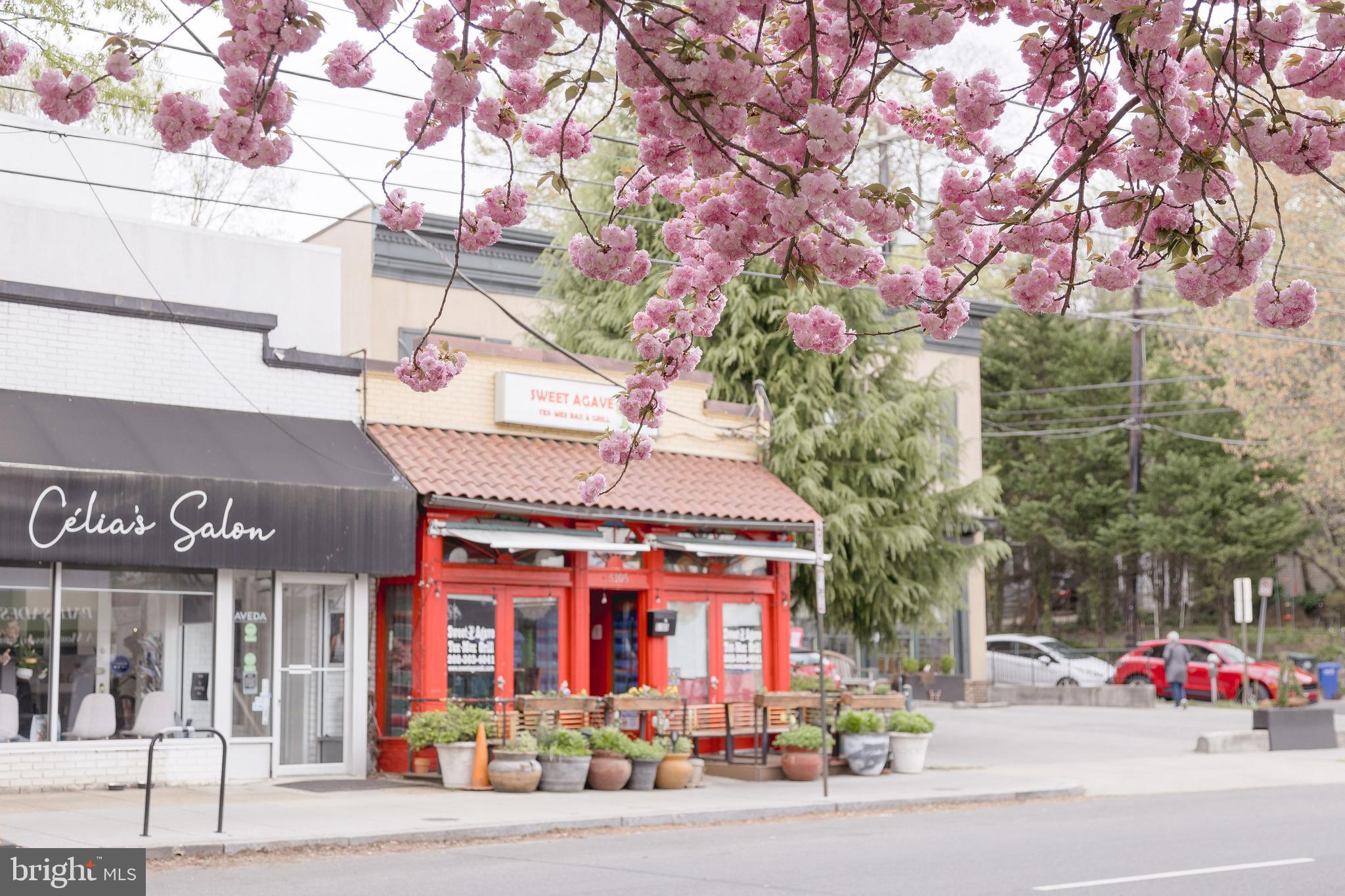 5212 MacArthur Boulevard Northwest Washington, DC 20016 - Photo 58 of 59 a front view of multi story residential apartment building with retail shops and traffic signal
