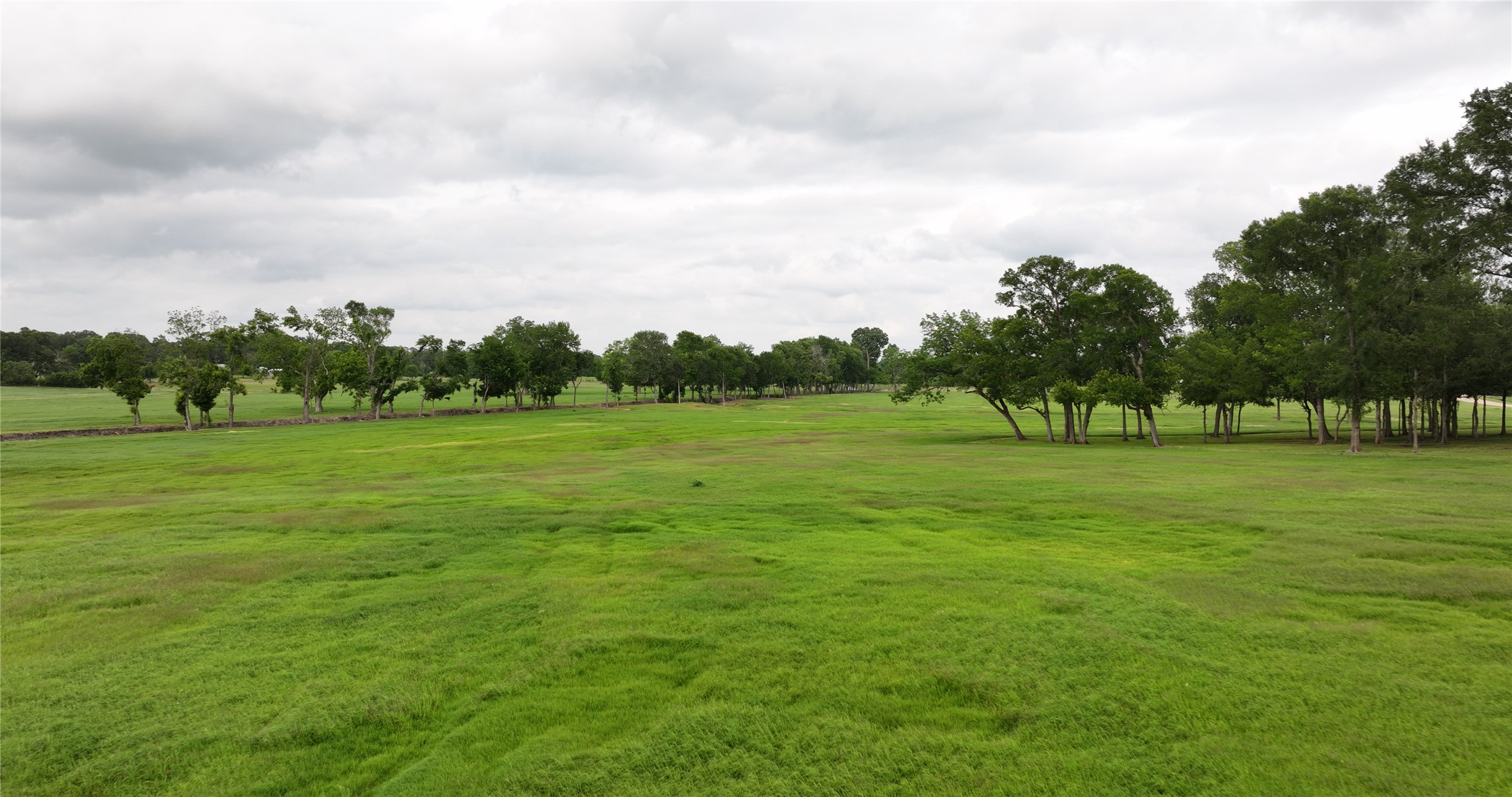 3283-2 Fm 2562 Road Anderson, TX 77830 - Photo 14 of 36 All that green