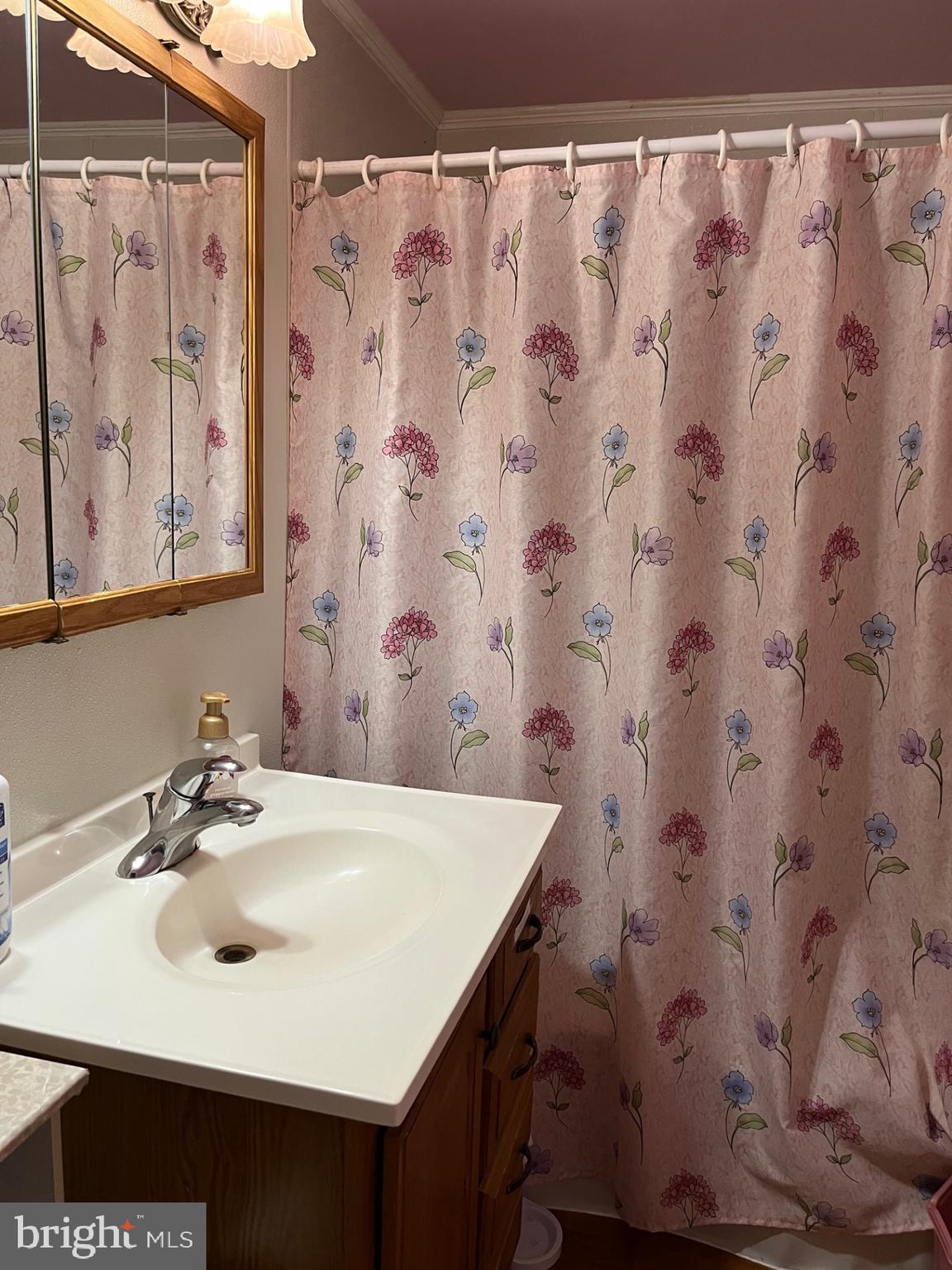 5159 Sandtown Road Felton, DE 19943 - Photo 12 of 17 Bathroom