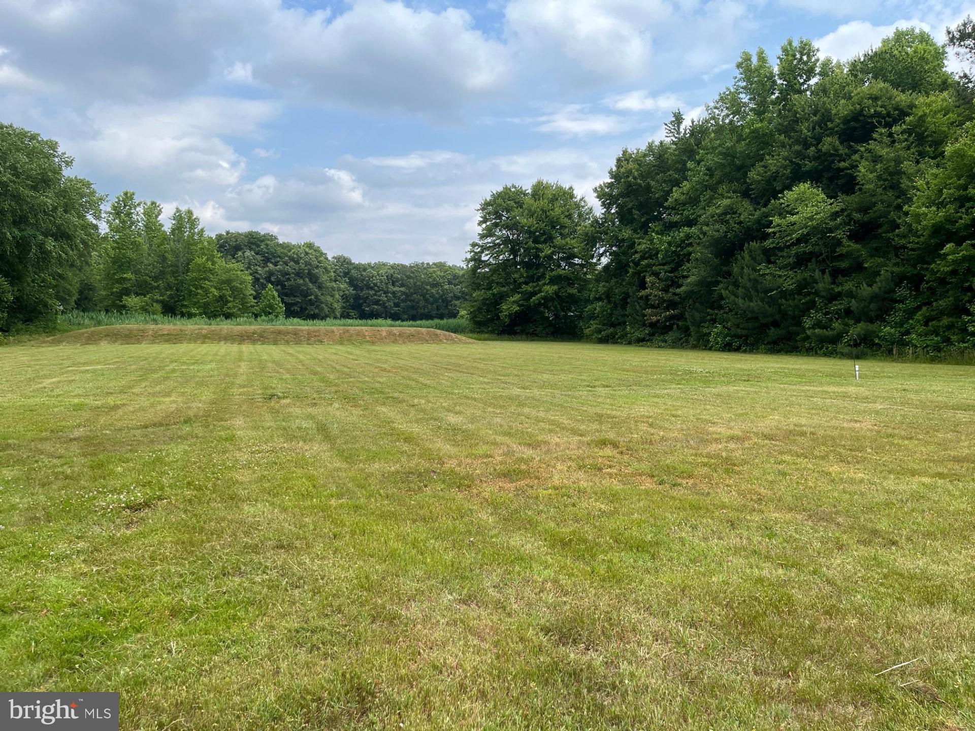 5159 Sandtown Road Felton, DE 19943 - Photo 16 of 17 Backyard