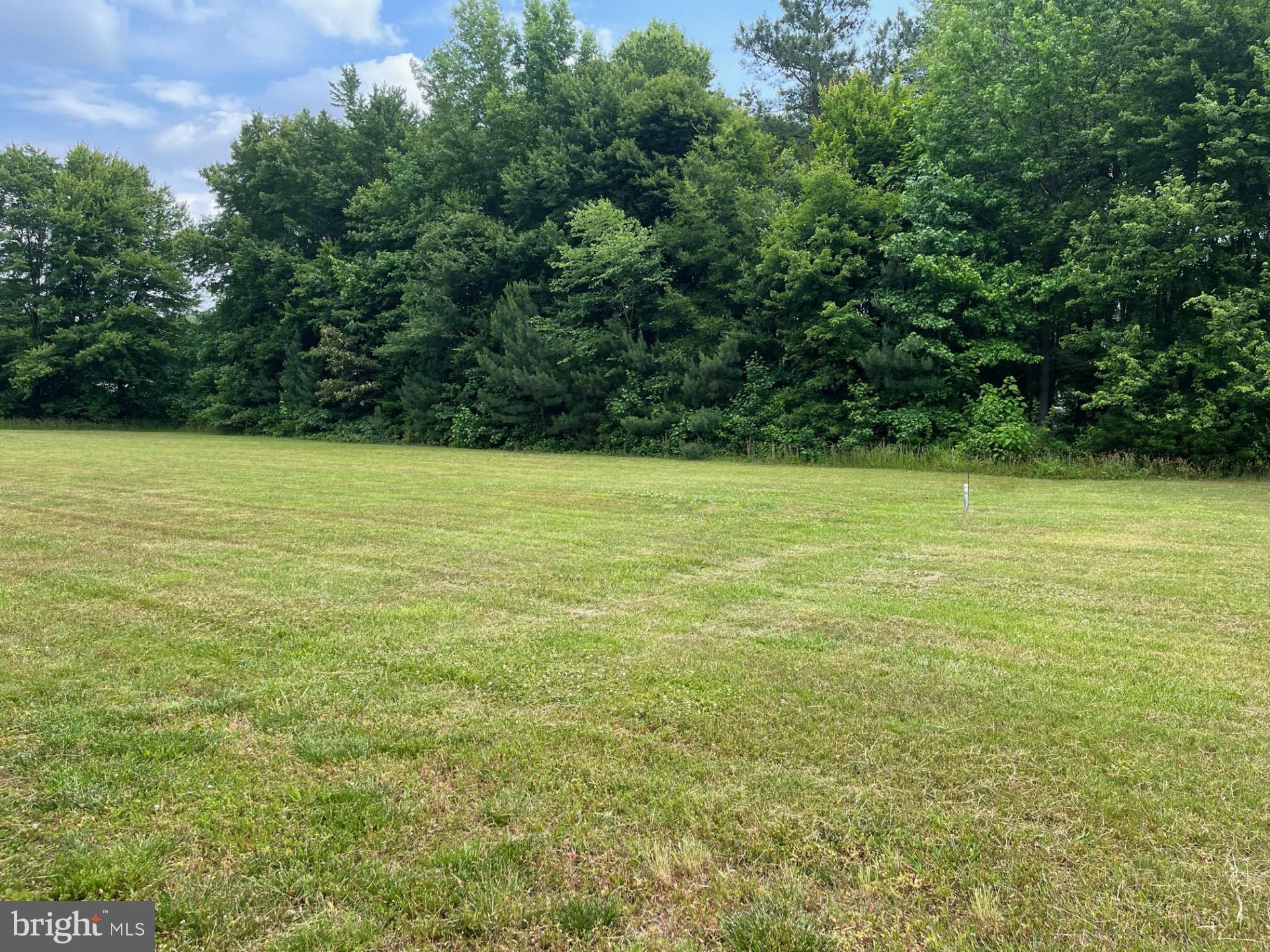 5159 Sandtown Road Felton, DE 19943 - Photo 17 of 17 View of the yard