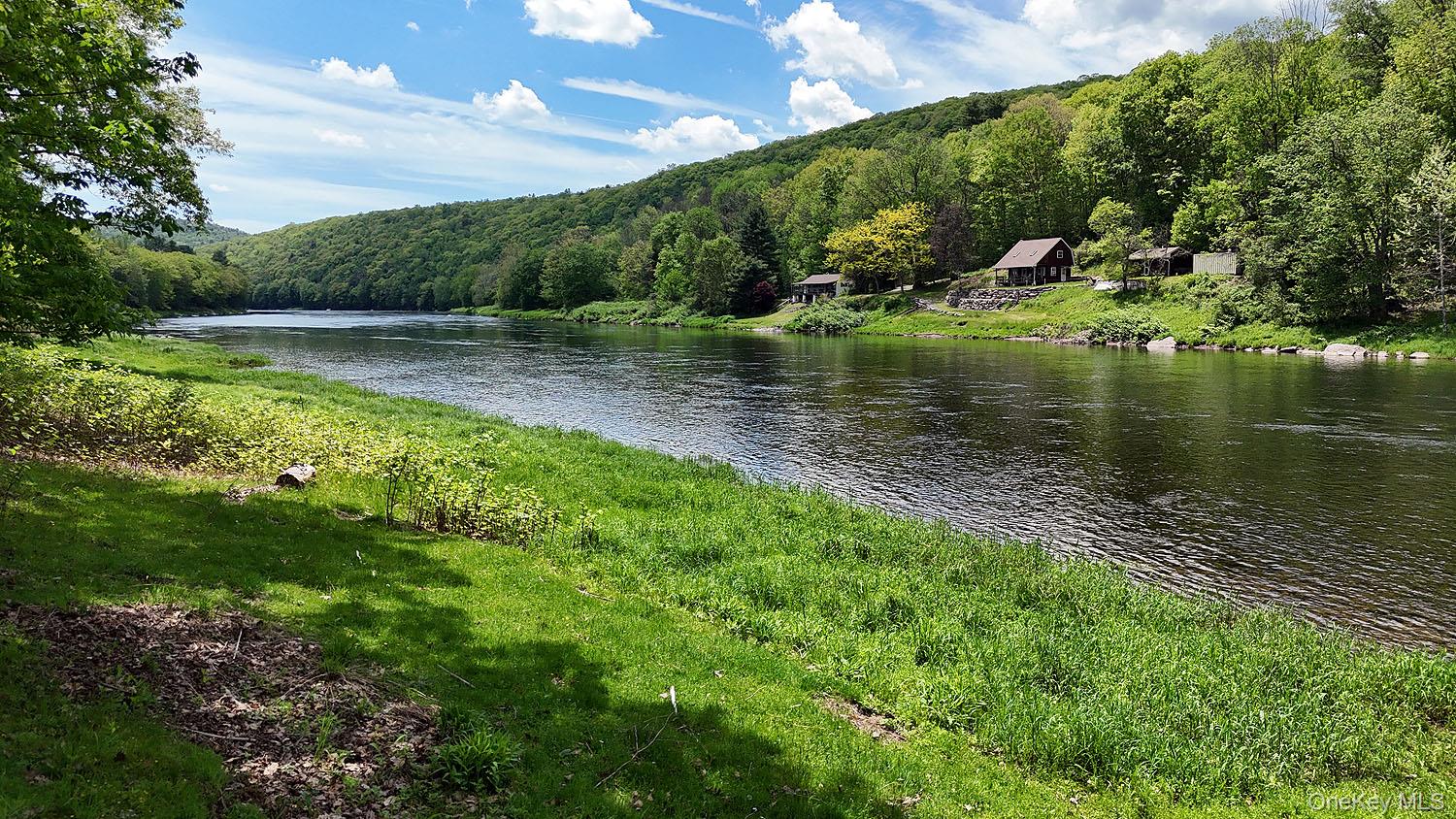 860 River Road Callicoon, NY 12723 - Photo 17 of 45 a view of a lake with a big yard