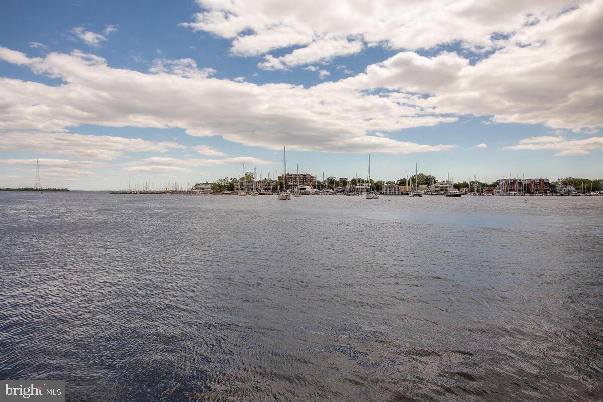 2574 Riva Road, Unit 4A Annapolis, MD 21401 - Photo 43 of 44