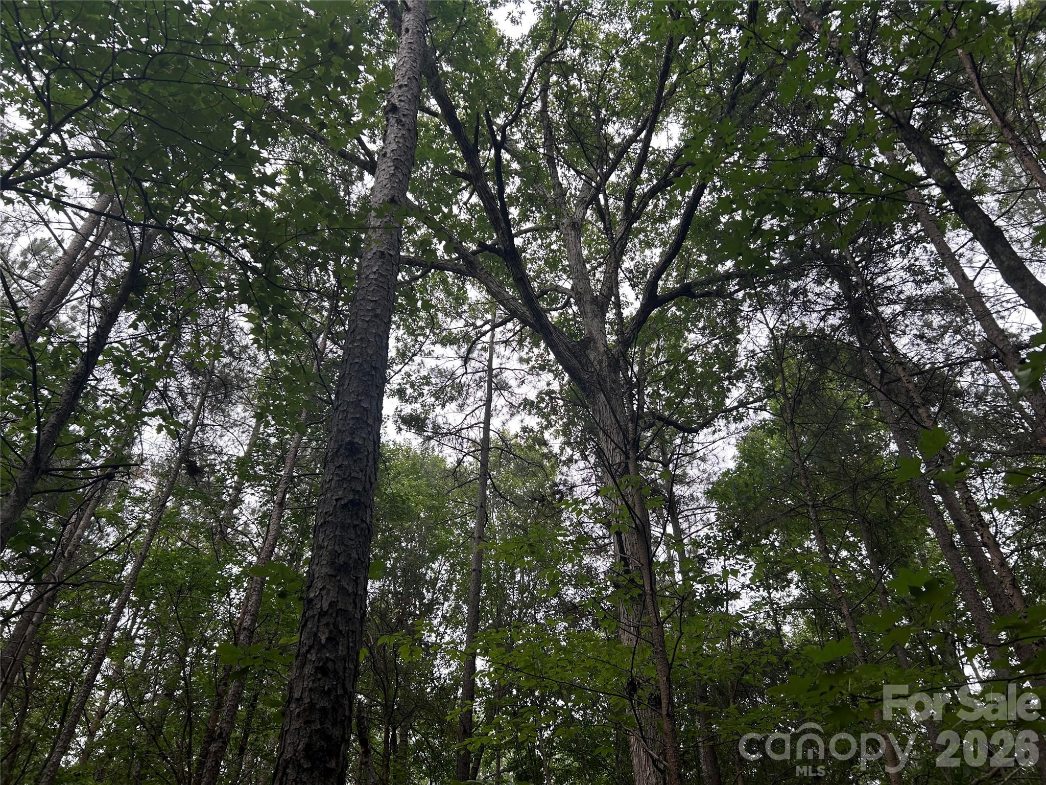 3909 Wightman Church Road Polkton, NC 28135 - Photo 43 of 48