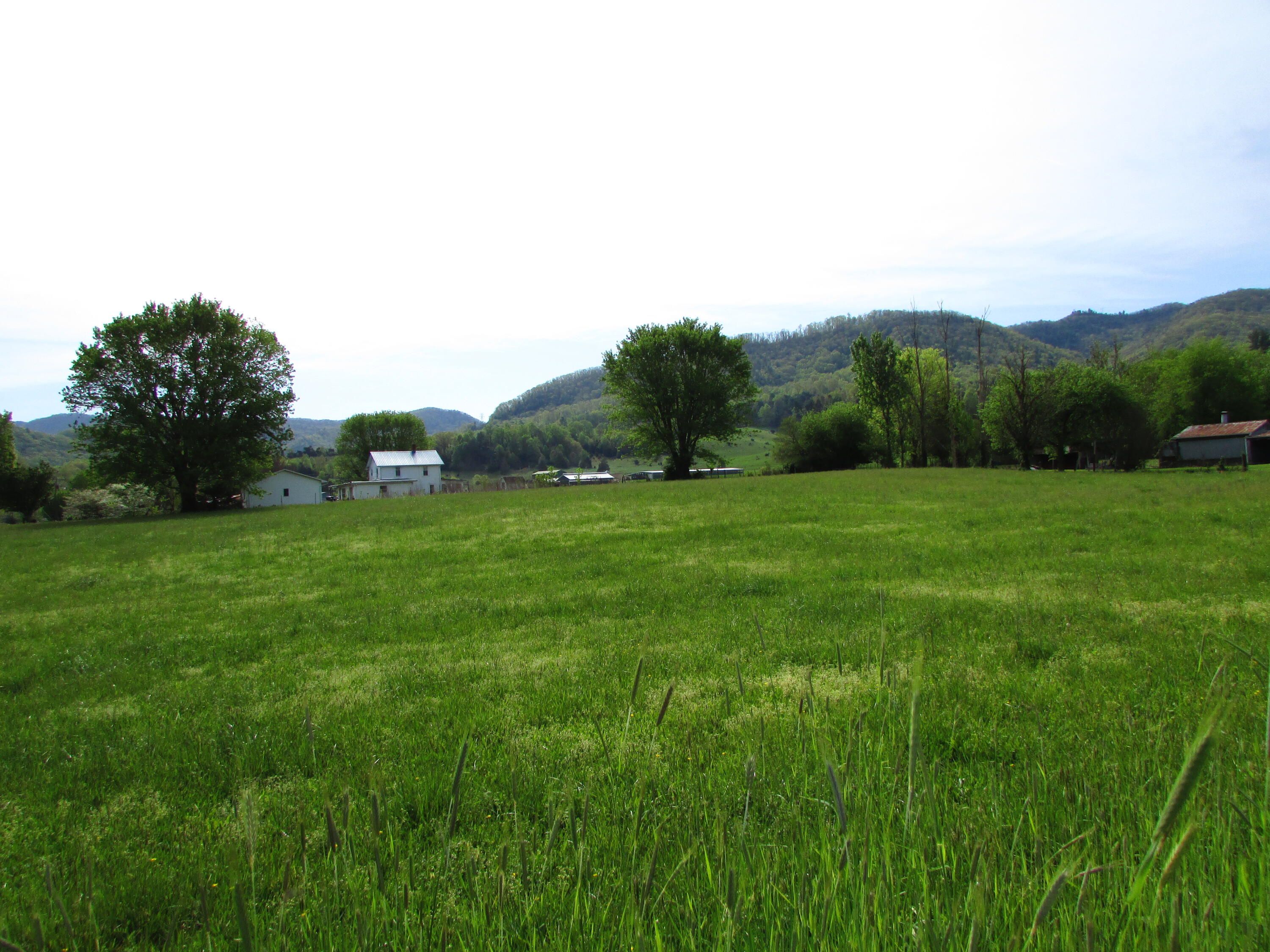 Tbd Wilbur Dam Road Elizabethton, TN 37643 - Photo 3 of 45 Wilbur Dam Road (2)