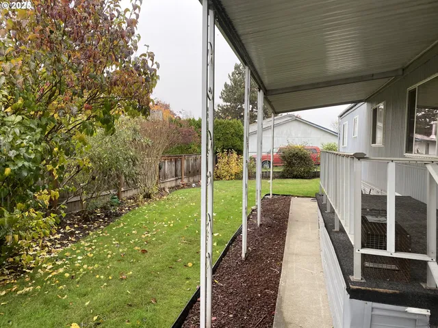 a view of a deck with a big yard potted plants and large tree