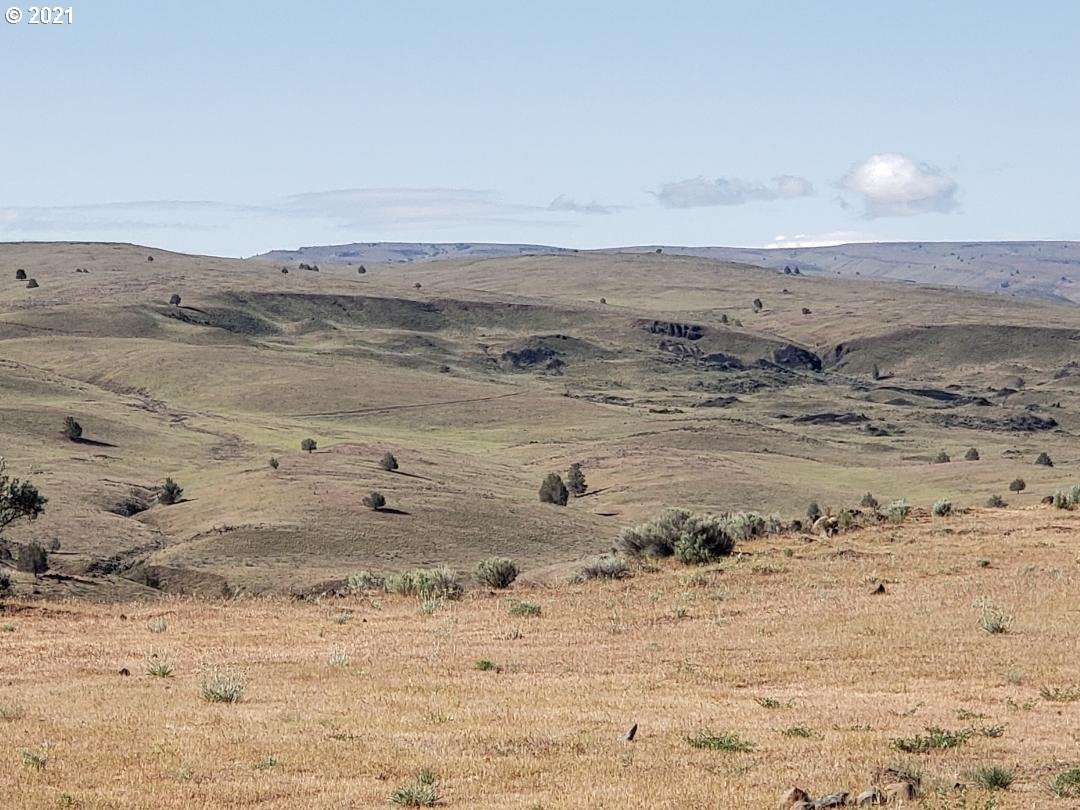 1423 Fish Camp Road Maupin, OR 97037 - Photo 18 of 19 Gallery Image 18