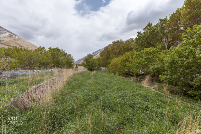 2672 East Canyon Road Springville, UT 84663 - Photo 23 of 33 View of yard with a mountain view